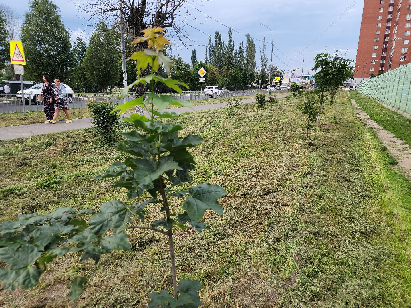 выездная администрация, орехово-зуево, благоустройство,