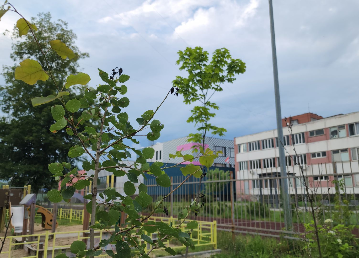 выездная администрация, орехово-зуево, благоустройство,