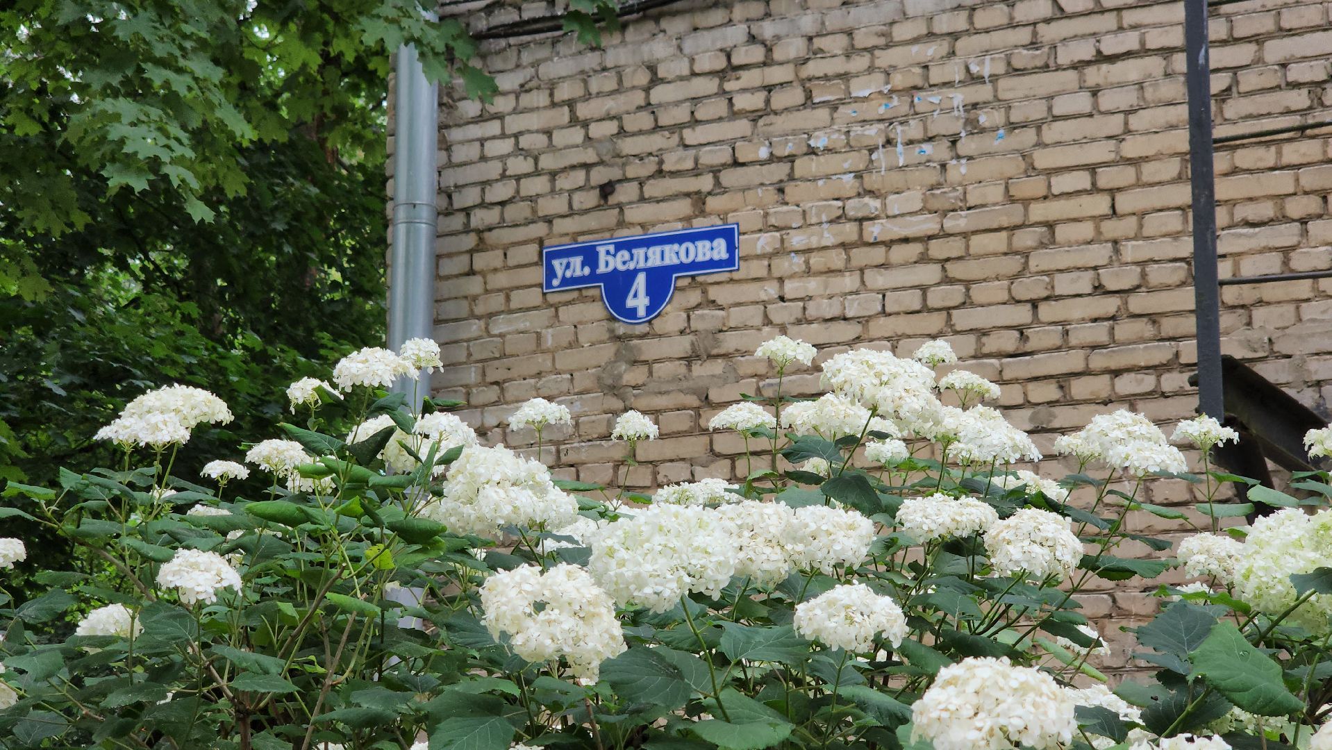 щёлково, новые дорожки, благоустройство двора, монино,