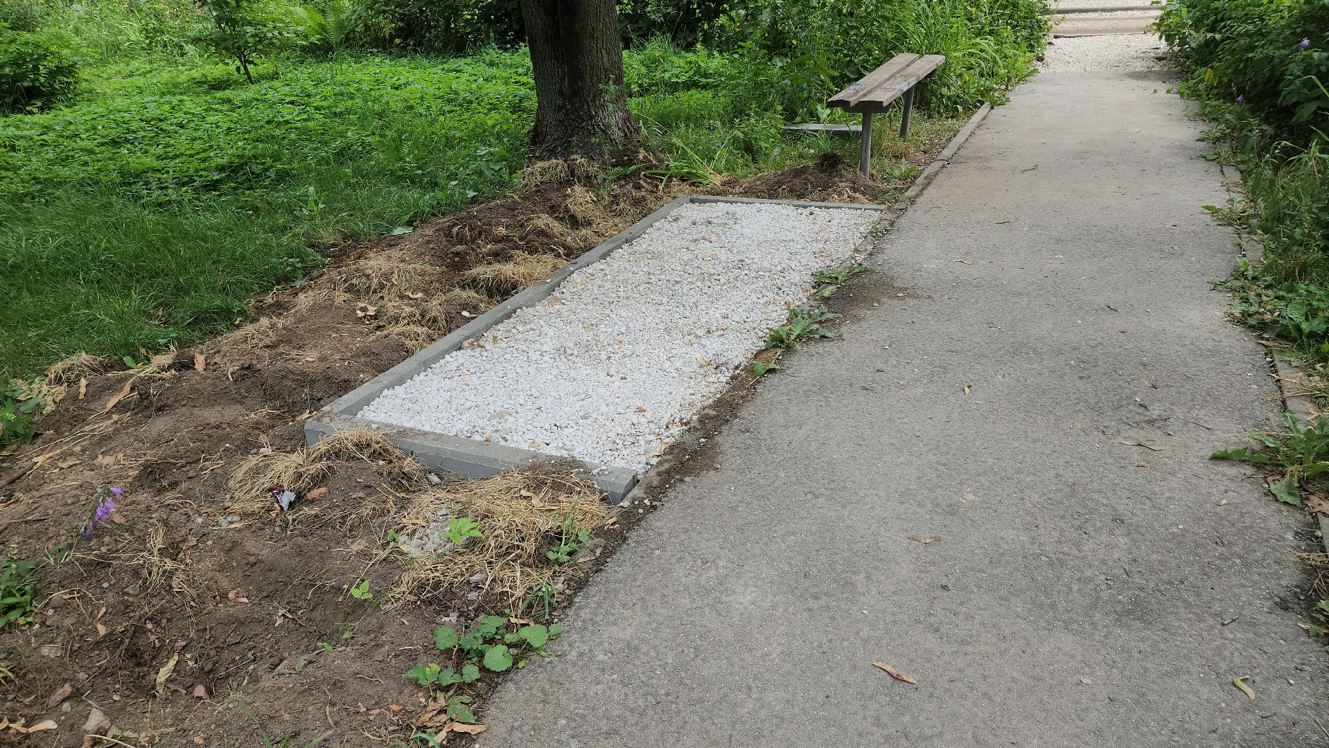 щёлково, новые дорожки, благоустройство двора, монино,