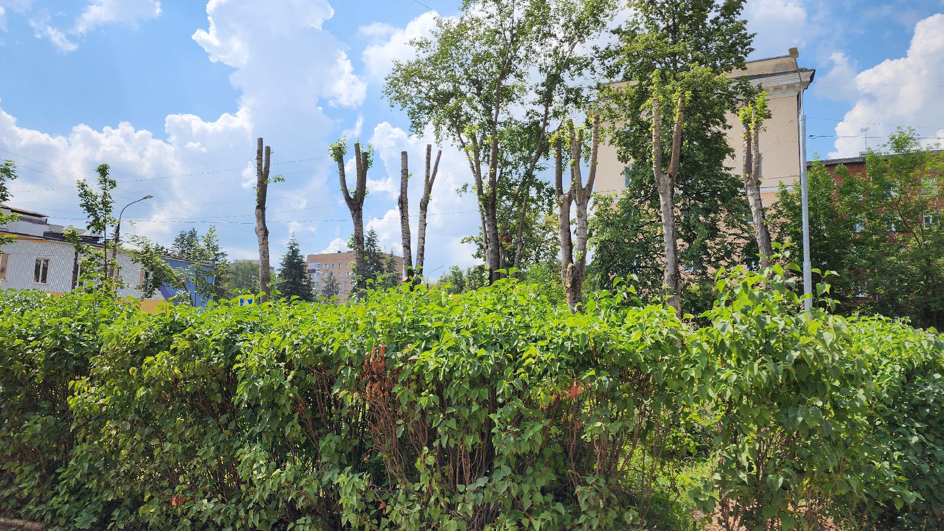 ступино, капремонт, образование, капремонт школы,