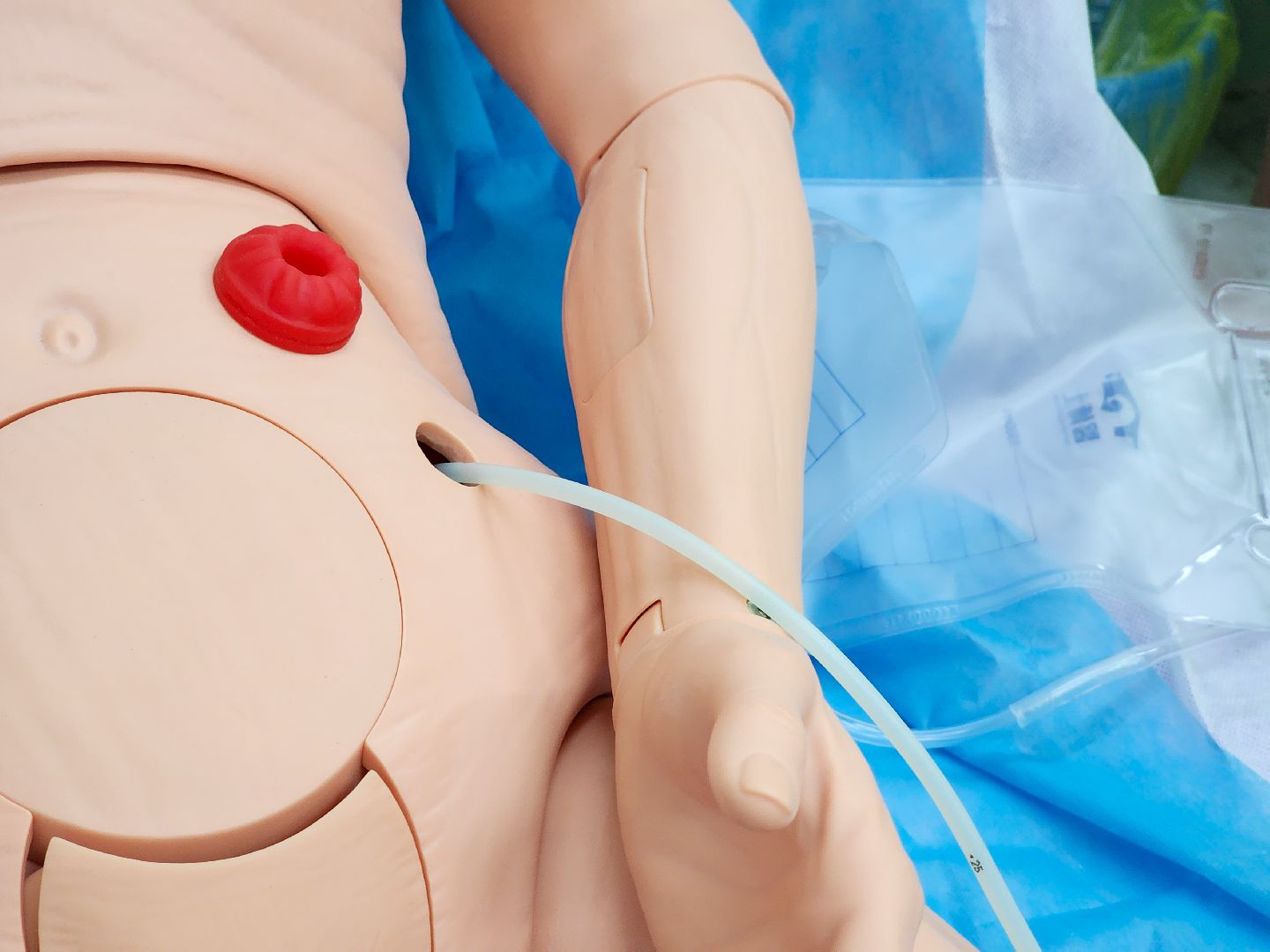 Медицина, покб, паллиативная помощь,школа паллиативного пациента,