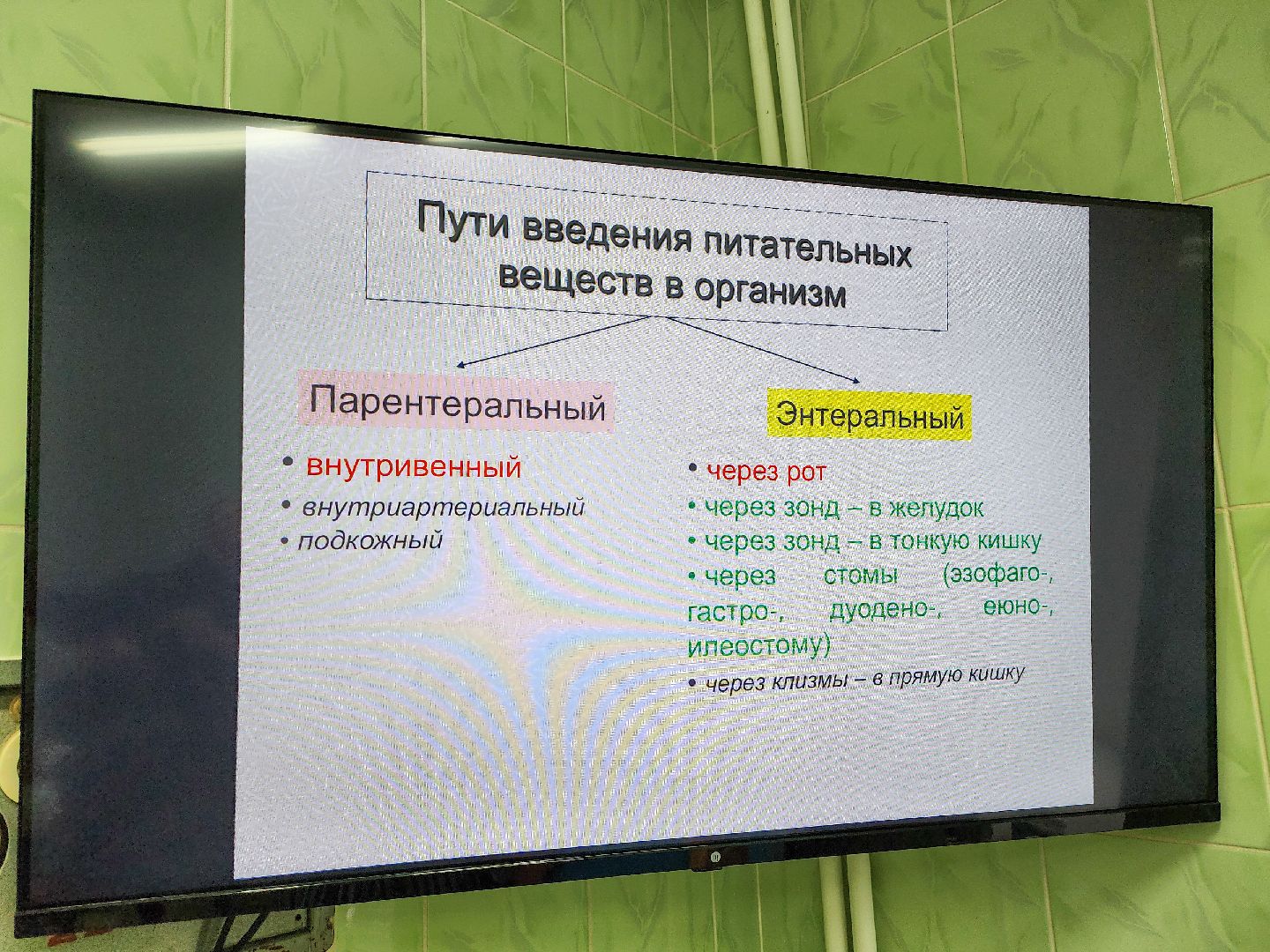 Медицина, покб, паллиативная помощь,школа паллиативного пациента,