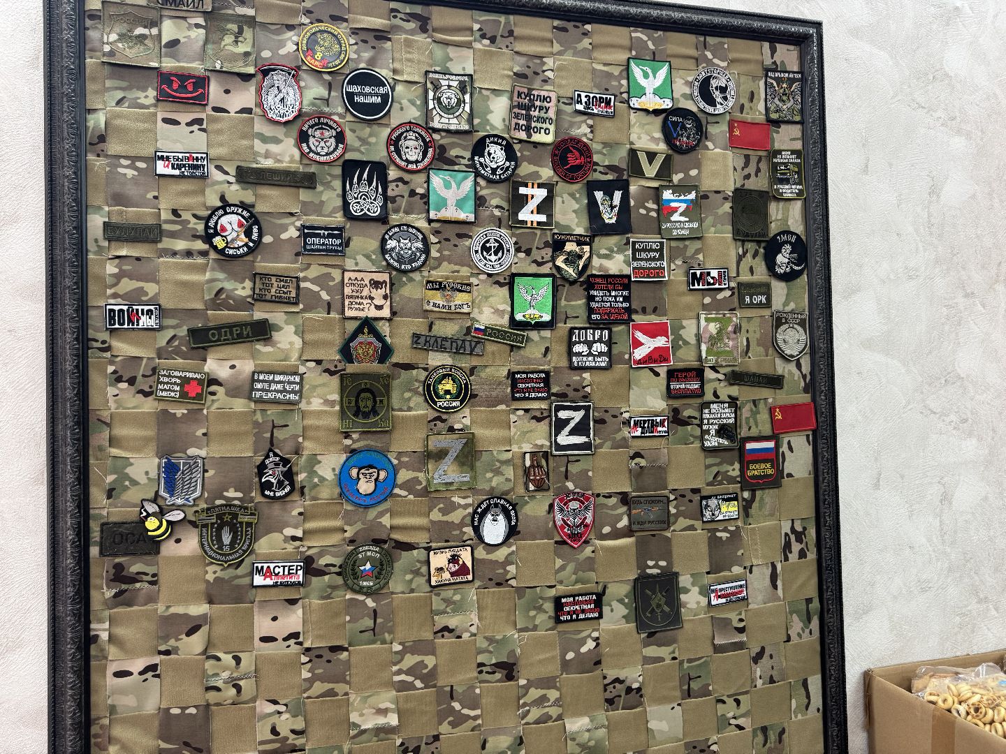 шаховская, конкурс, сво,