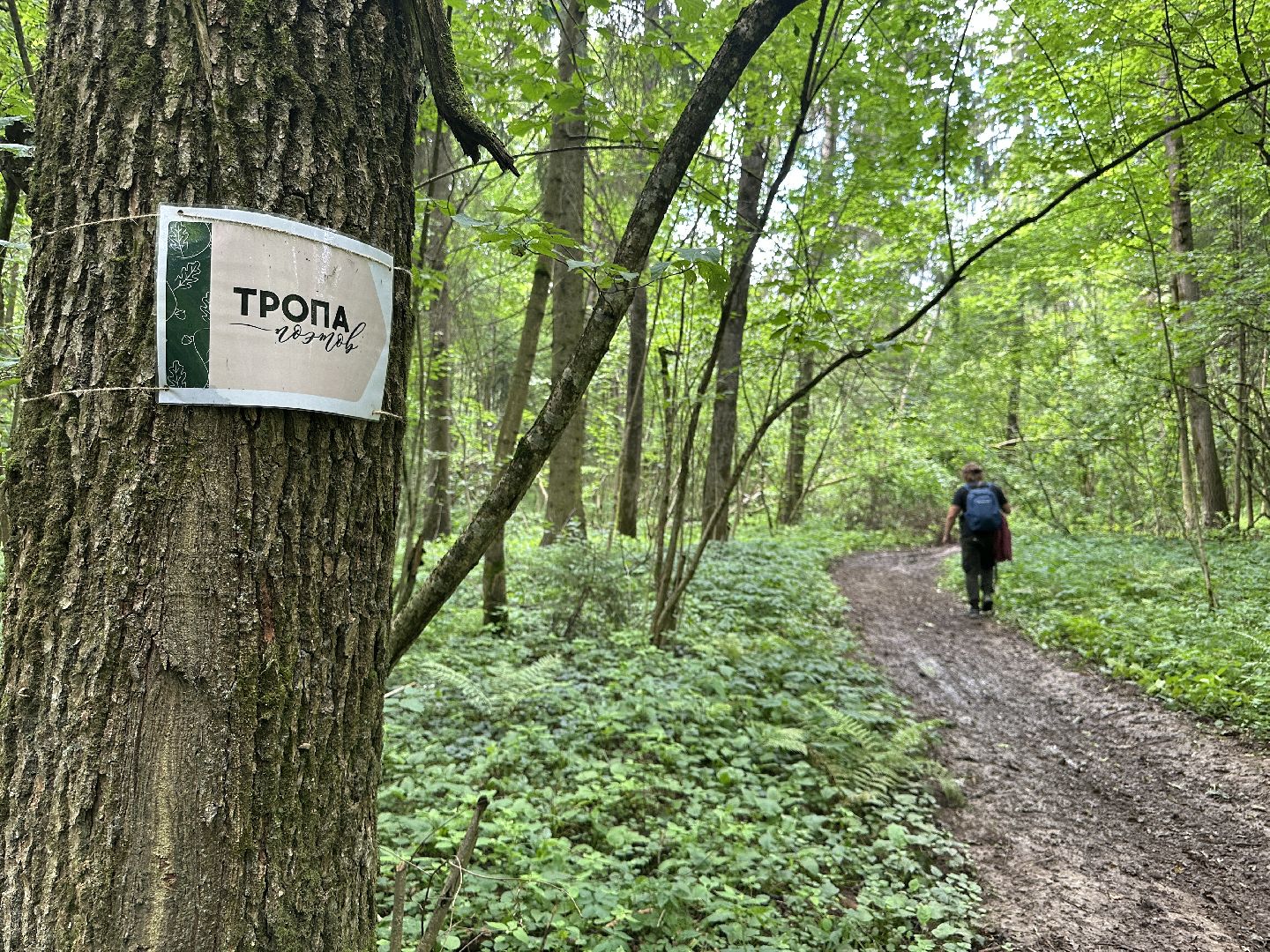 Тропа поэтов, пушкинский городской округ,  усадьба мураново, Усадьба Абрамцево ,