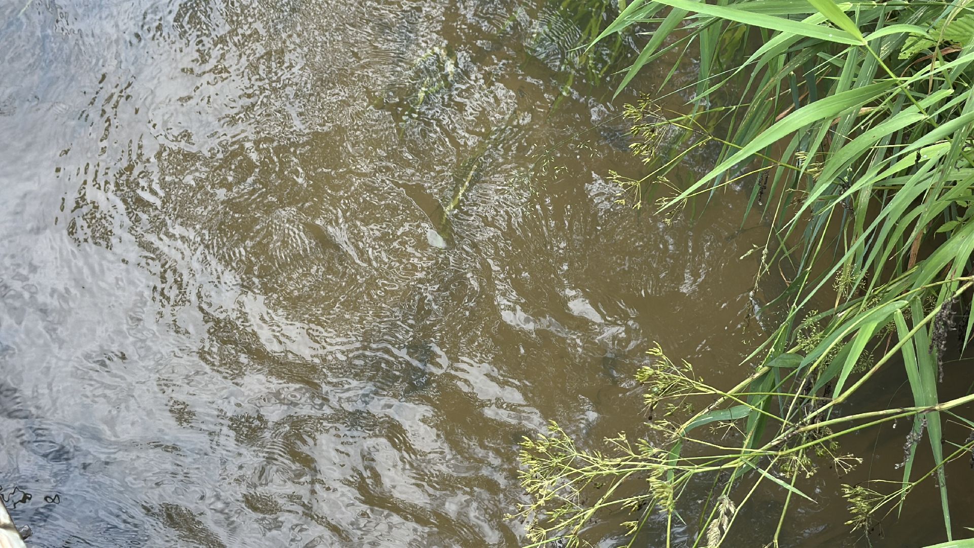 Тропа поэтов, пушкинский городской округ,  усадьба мураново, Усадьба Абрамцево ,