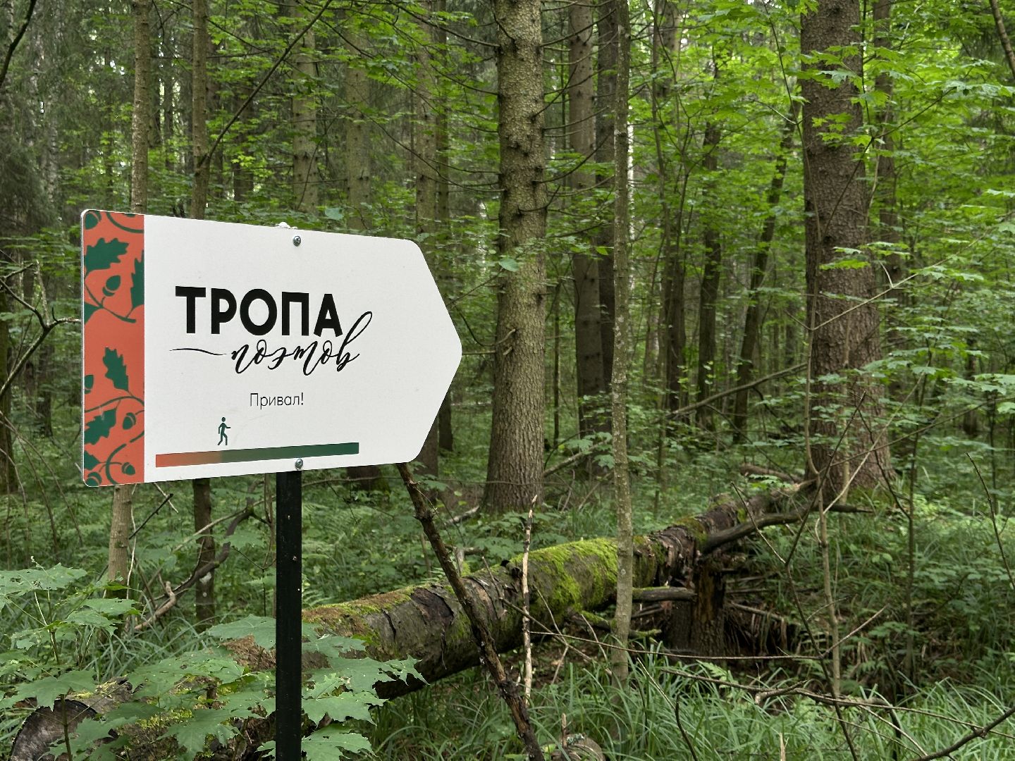 Тропа поэтов, пушкинский городской округ,  усадьба мураново, Усадьба Абрамцево ,