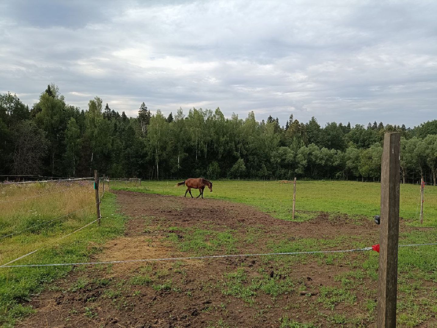 Тропа поэтов, пушкинский городской округ,  усадьба мураново, Усадьба Абрамцево ,