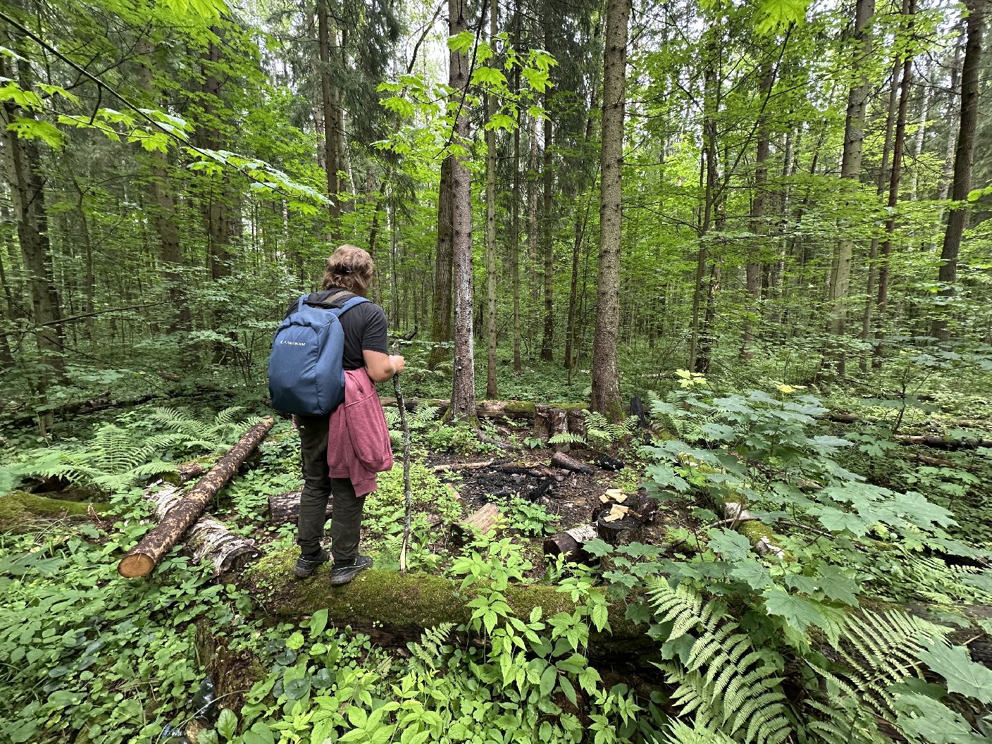 Тропа поэтов, пушкинский городской округ,  усадьба мураново, Усадьба Абрамцево ,