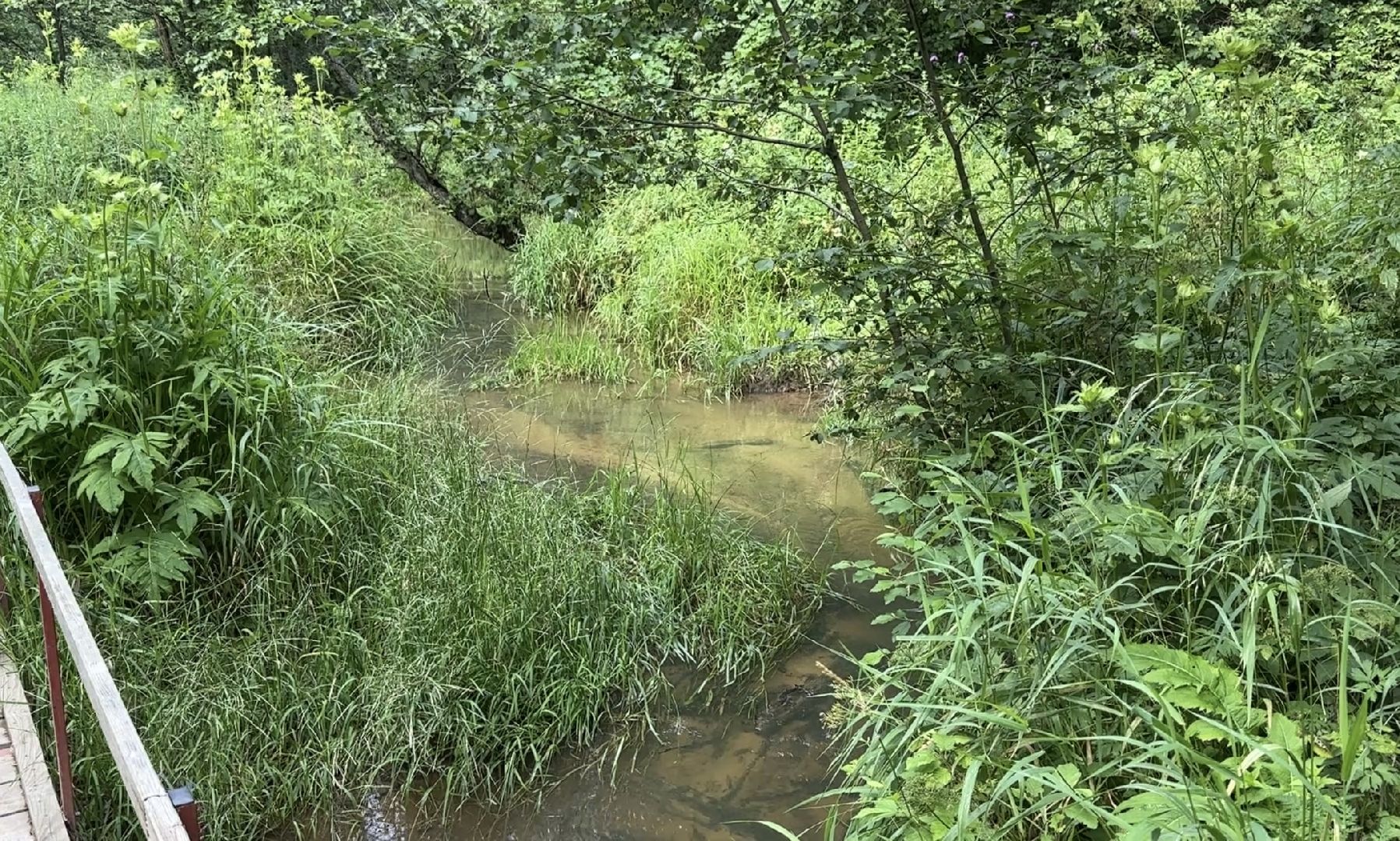 Тропа поэтов, пушкинский городской округ,  усадьба мураново, Усадьба Абрамцево ,