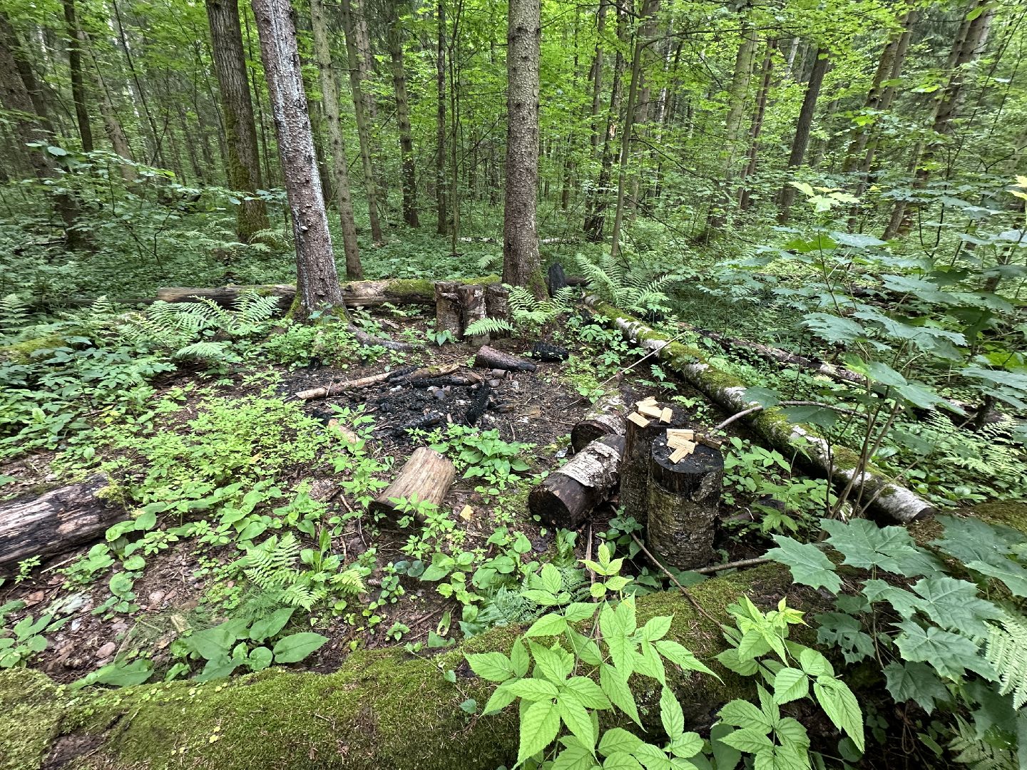 Тропа поэтов, пушкинский городской округ,  усадьба мураново, Усадьба Абрамцево ,