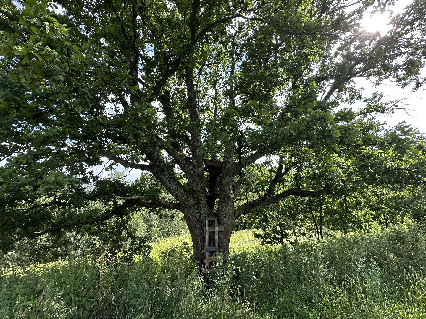 Тропа поэтов, пушкинский городской округ,  усадьба мураново, Усадьба Абрамцево ,
