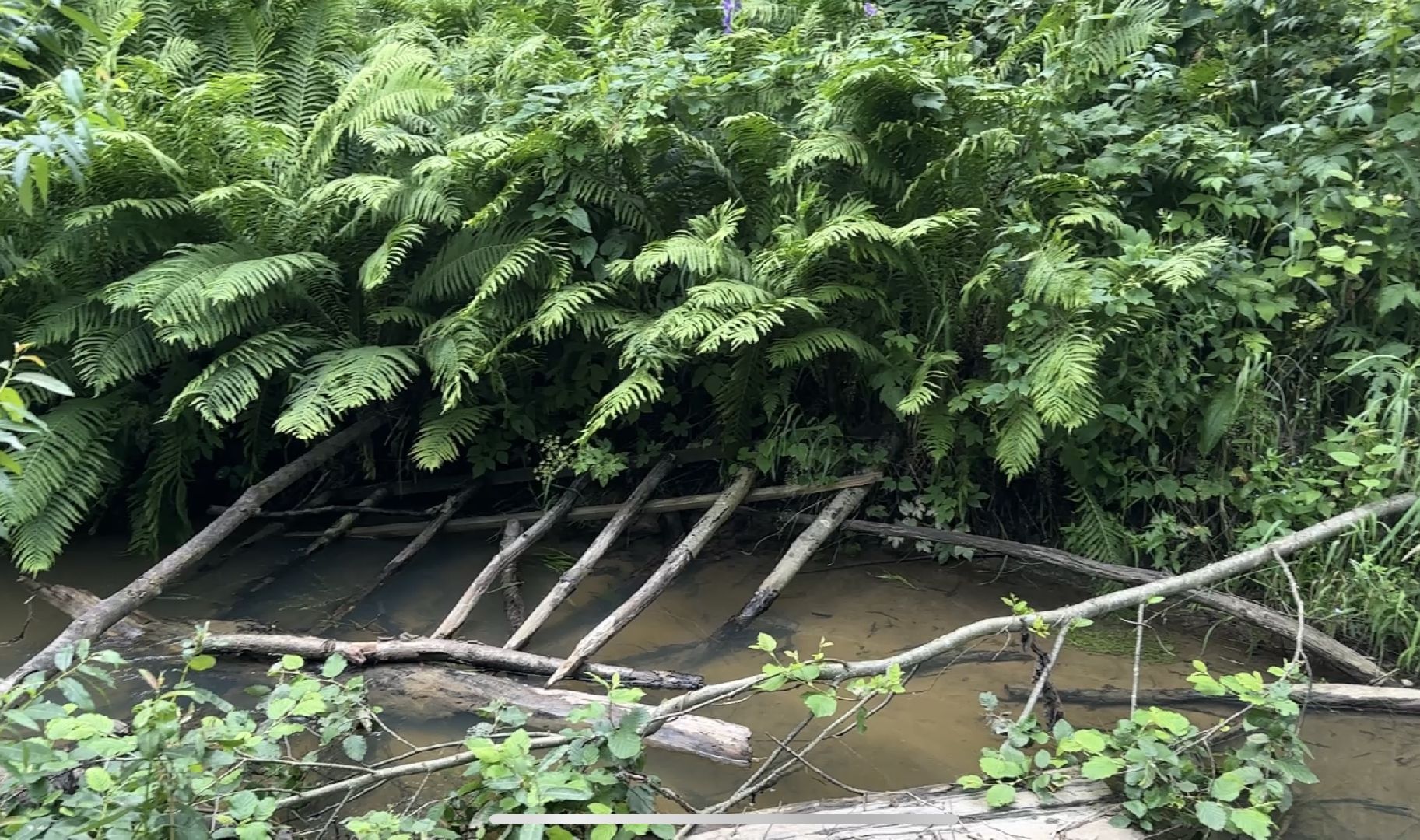 Тропа поэтов, пушкинский городской округ,  усадьба мураново, Усадьба Абрамцево ,