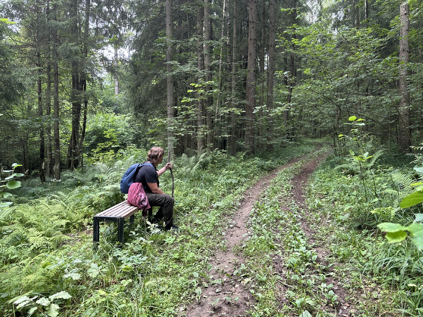 Тропа поэтов, пушкинский городской округ,  усадьба мураново, Усадьба Абрамцево ,