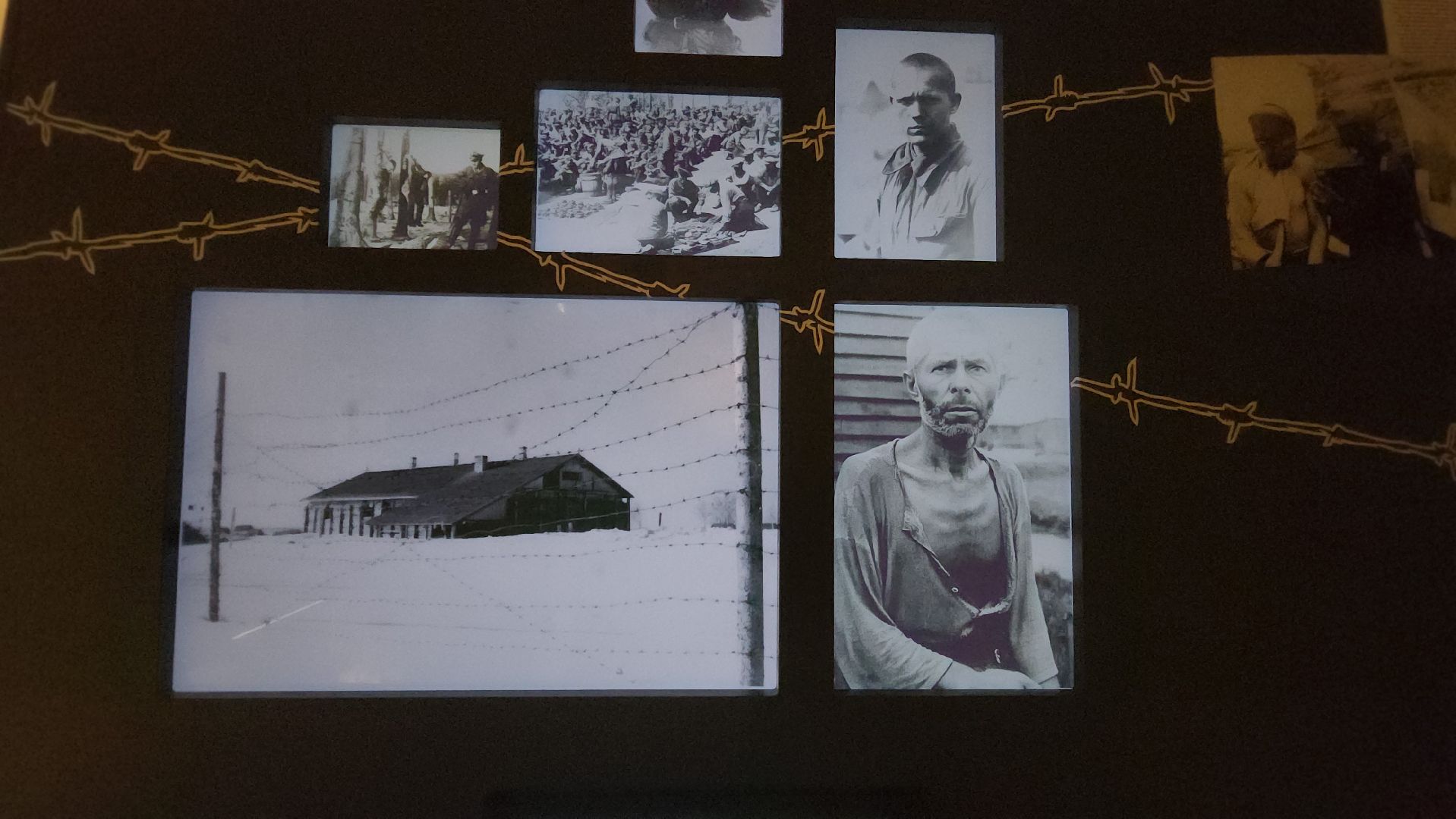 музей победы, красногорск, плен,