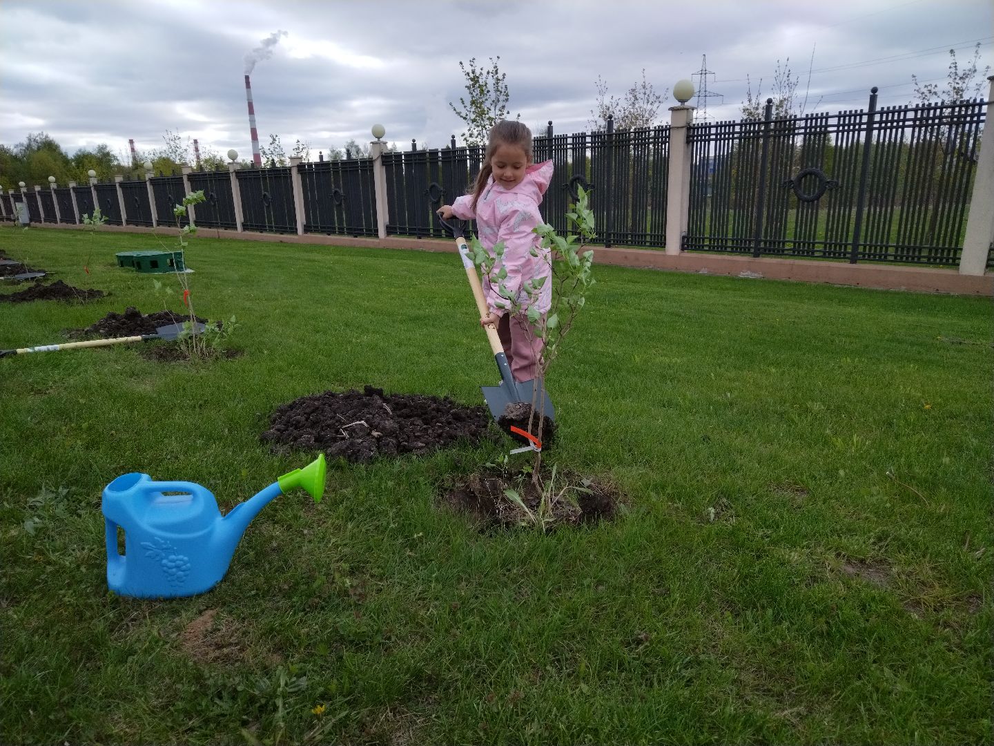 Живая память, Сирень победы, День Победы, 9 мая, Мытищи, Феофанов