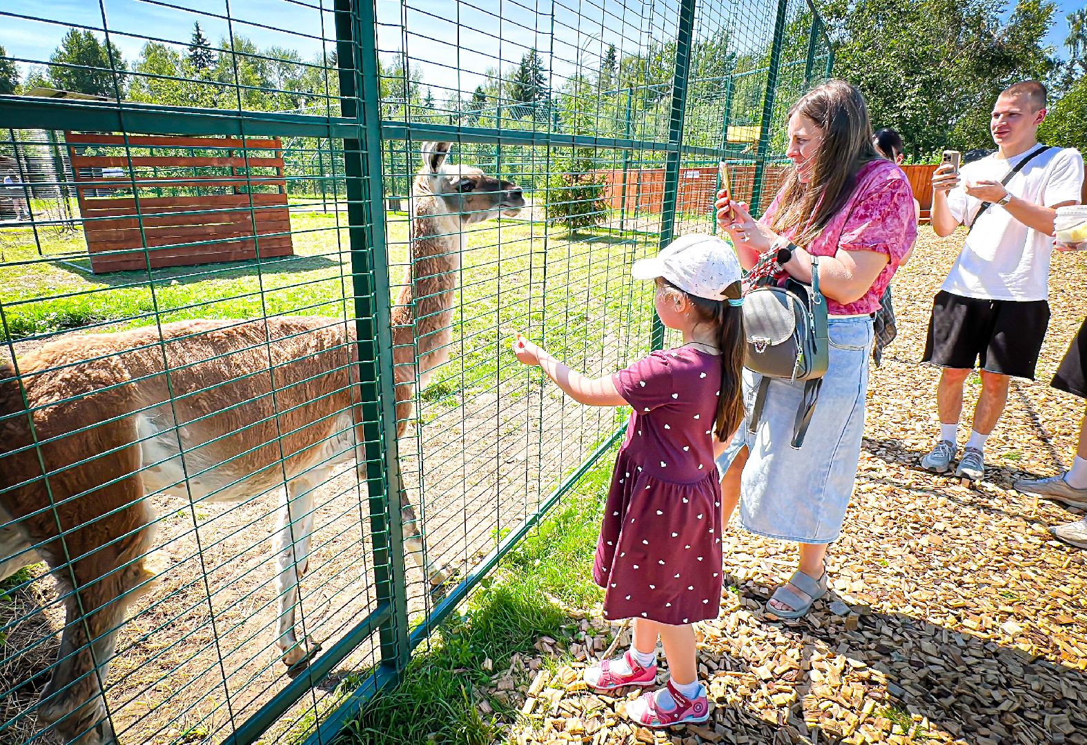 клин, общество, животные, туризм,