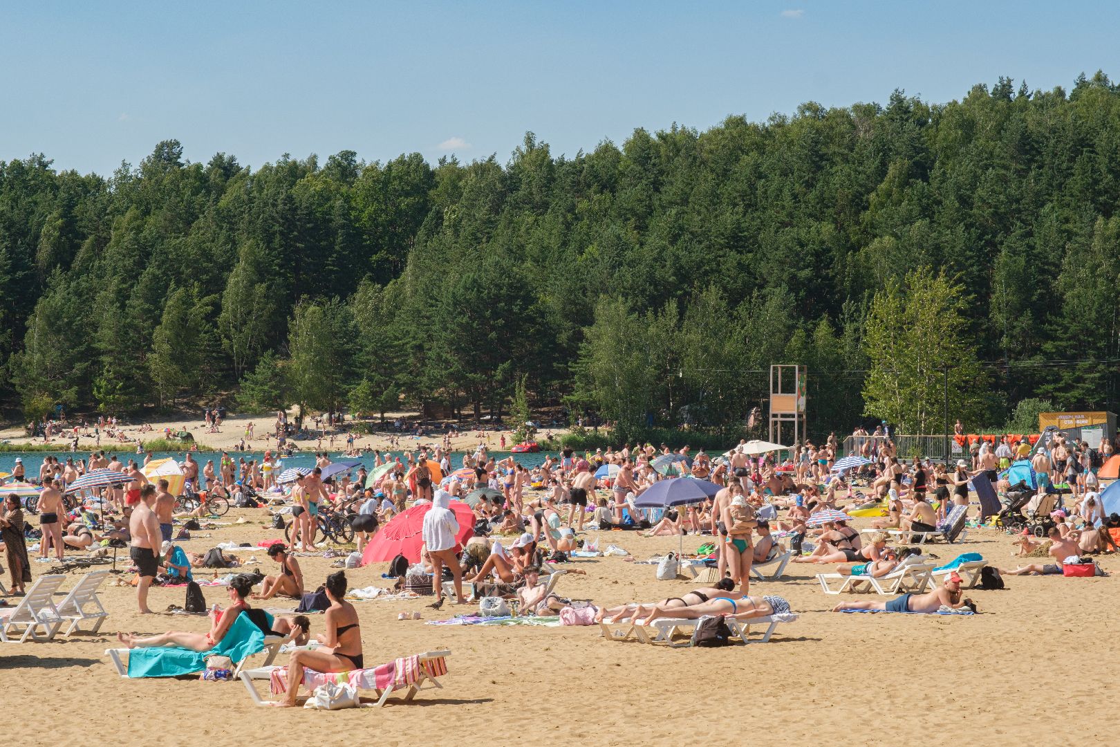 лыткарино, благоустройство, волкуша,