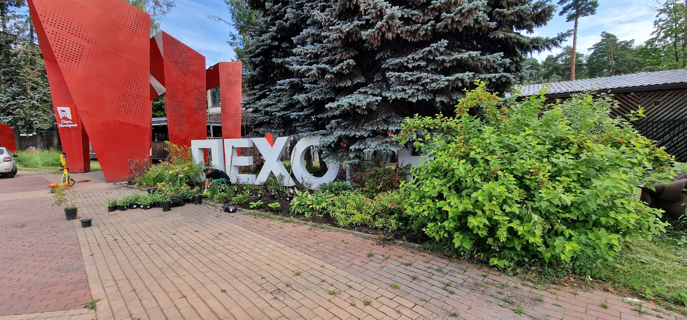 Балашиха, парк пехорка, высадка цветов,