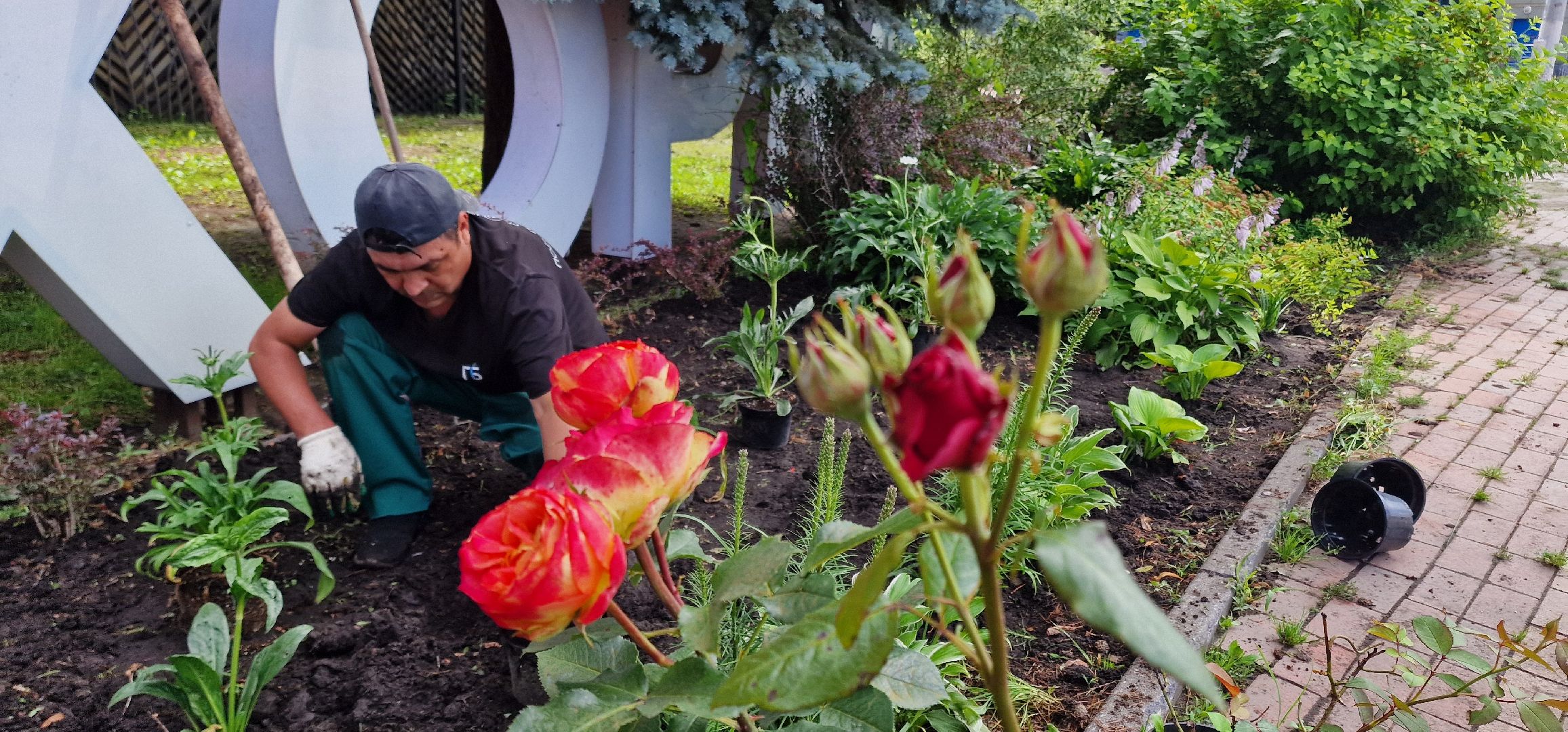 Балашиха, парк пехорка, высадка цветов,