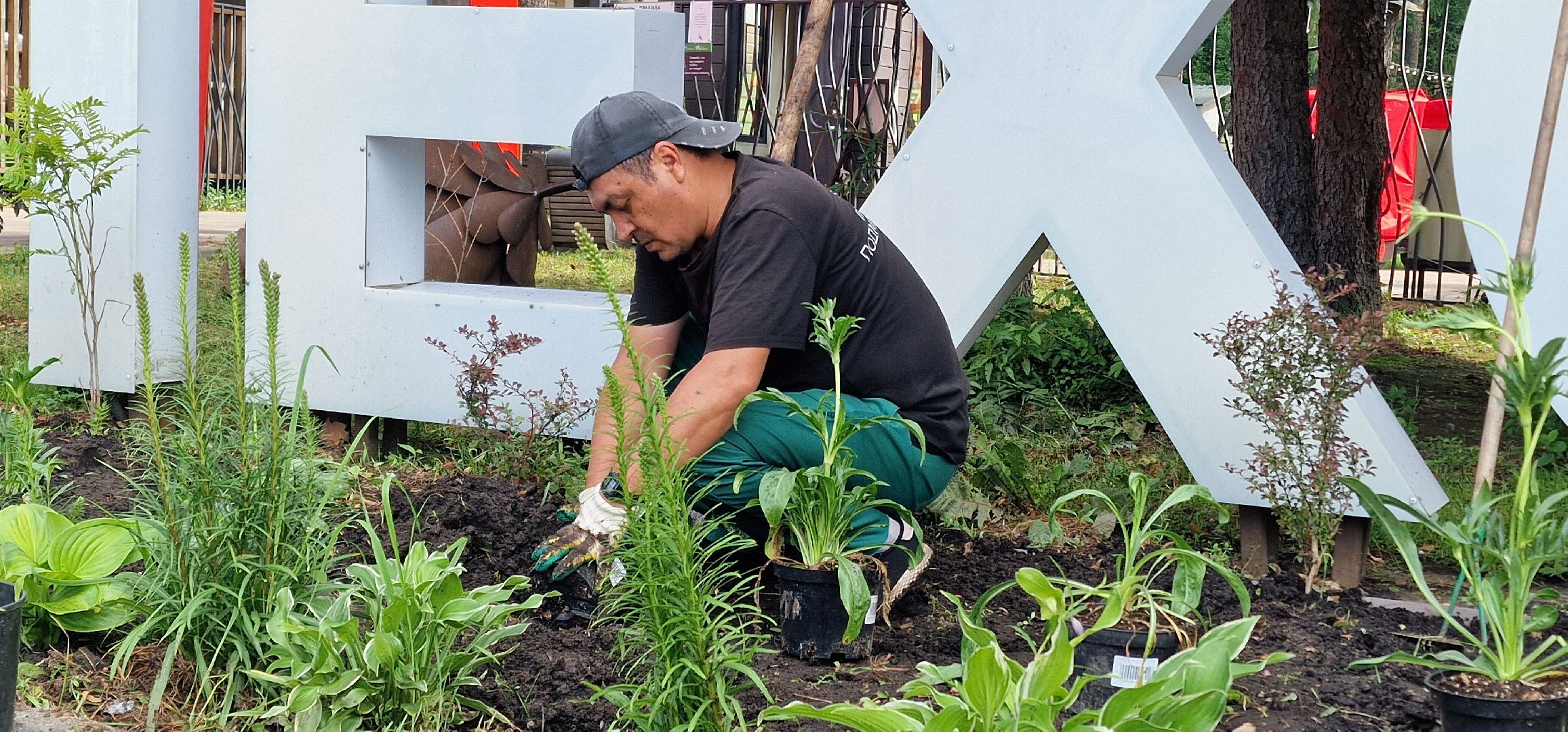 Балашиха, парк пехорка, высадка цветов,