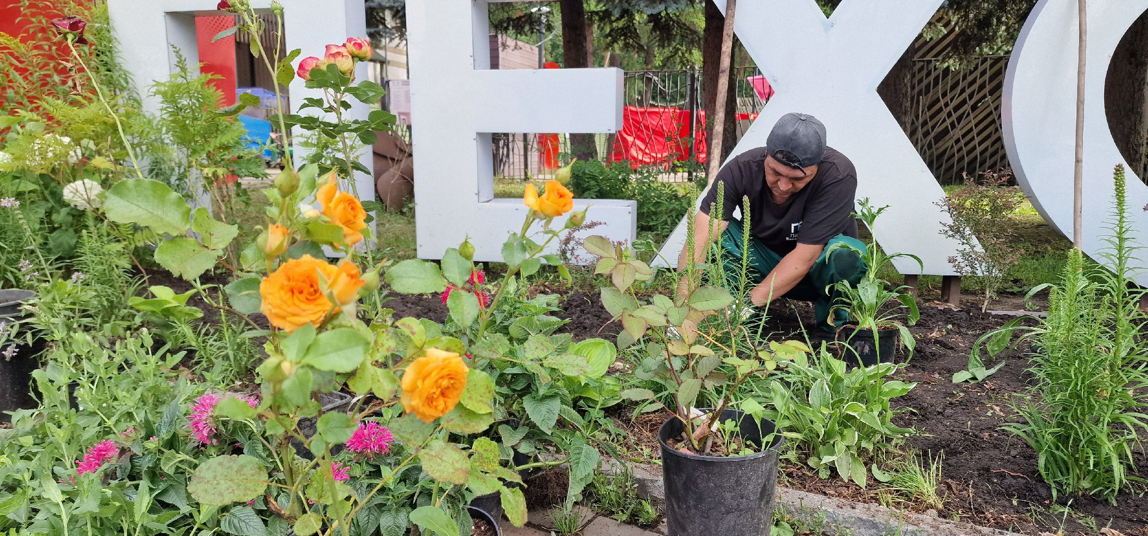 Балашиха, парк пехорка, высадка цветов,