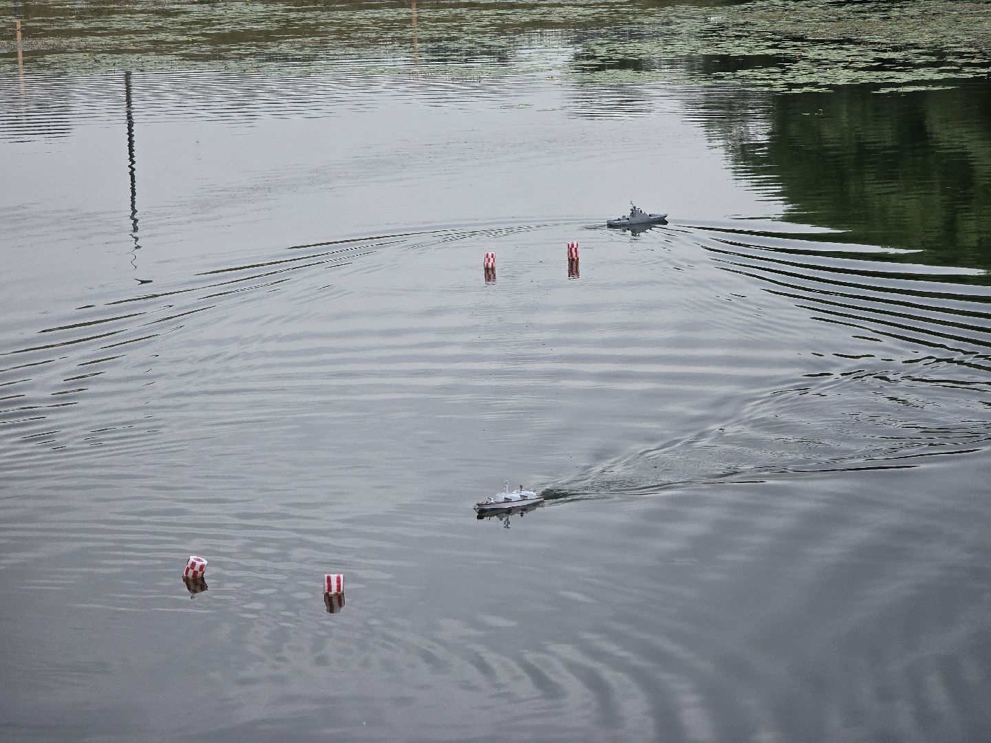 Коломна, судомоделирование, соревнования,
