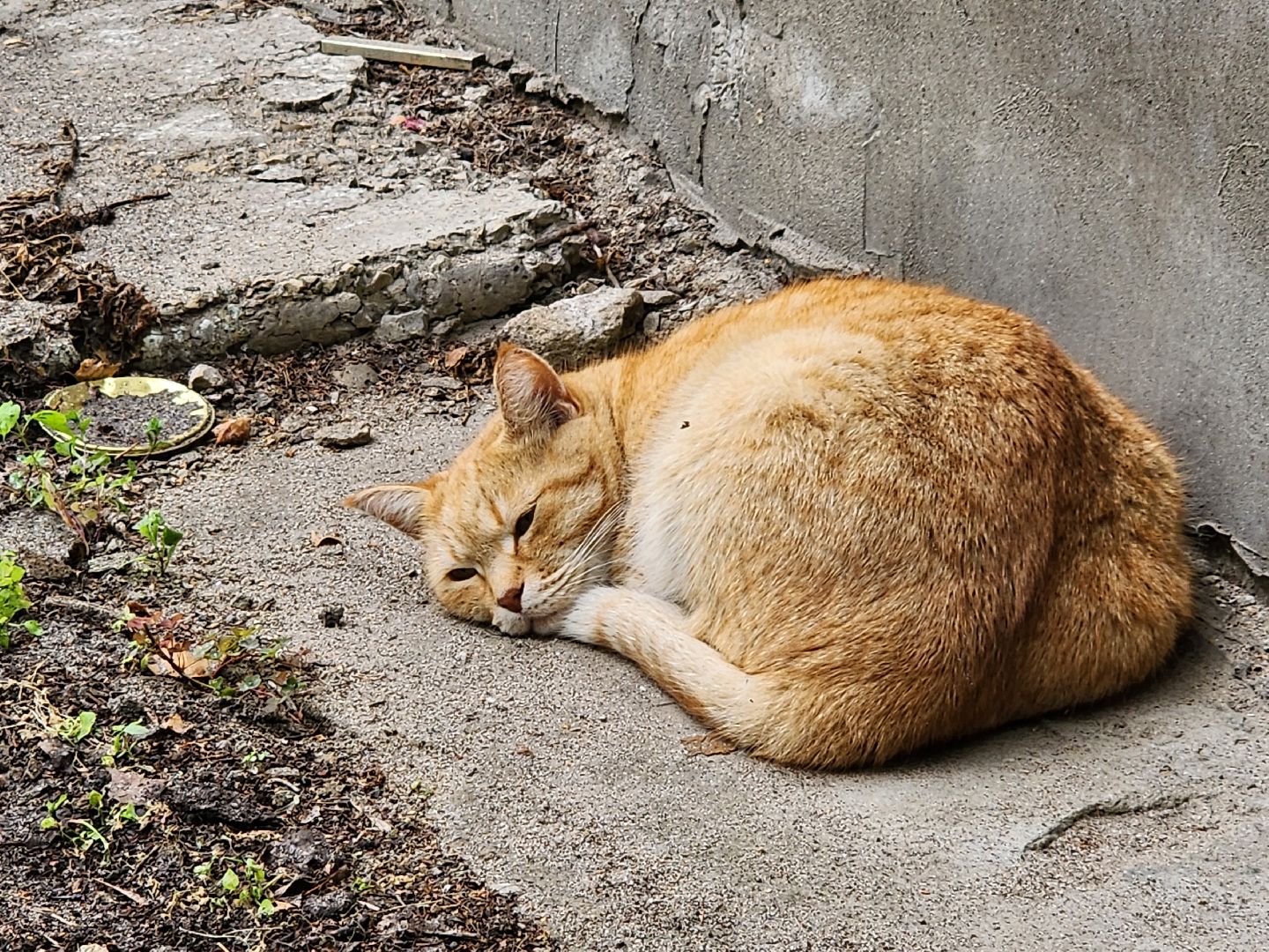 благоустройство, дворовые территории, детские площадки, старая купавна, богородский городской округ,