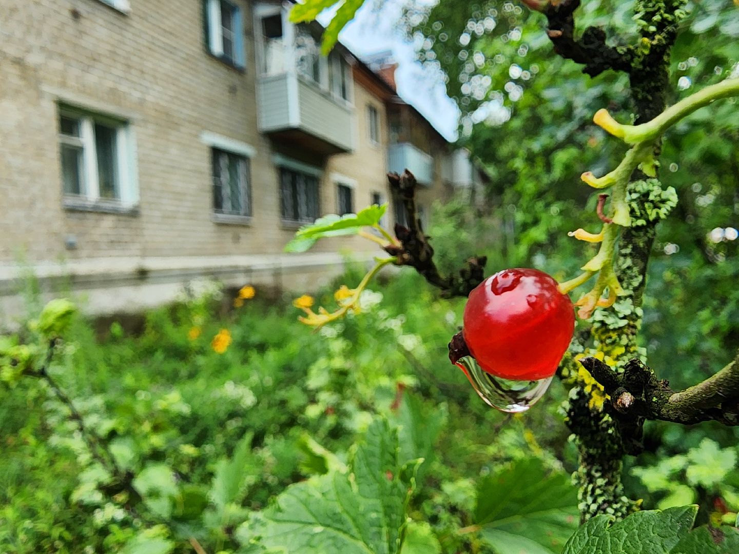 благоустройство, дворовые территории, детские площадки, старая купавна, богородский городской округ,