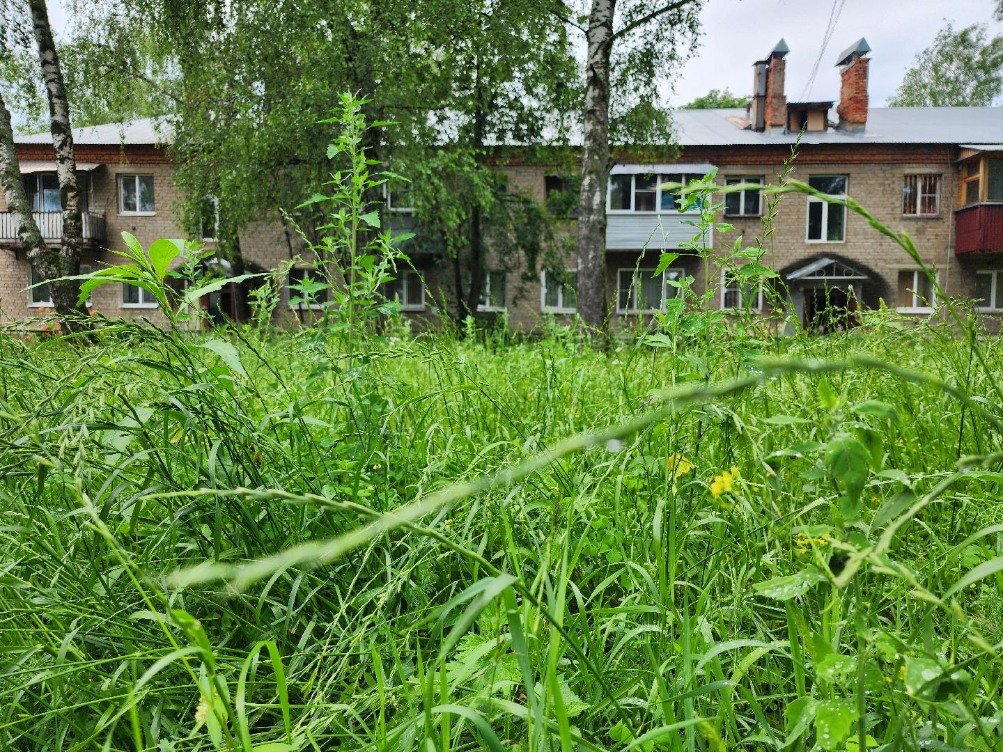 благоустройство, дворовые территории, детские площадки, старая купавна, богородский городской округ,