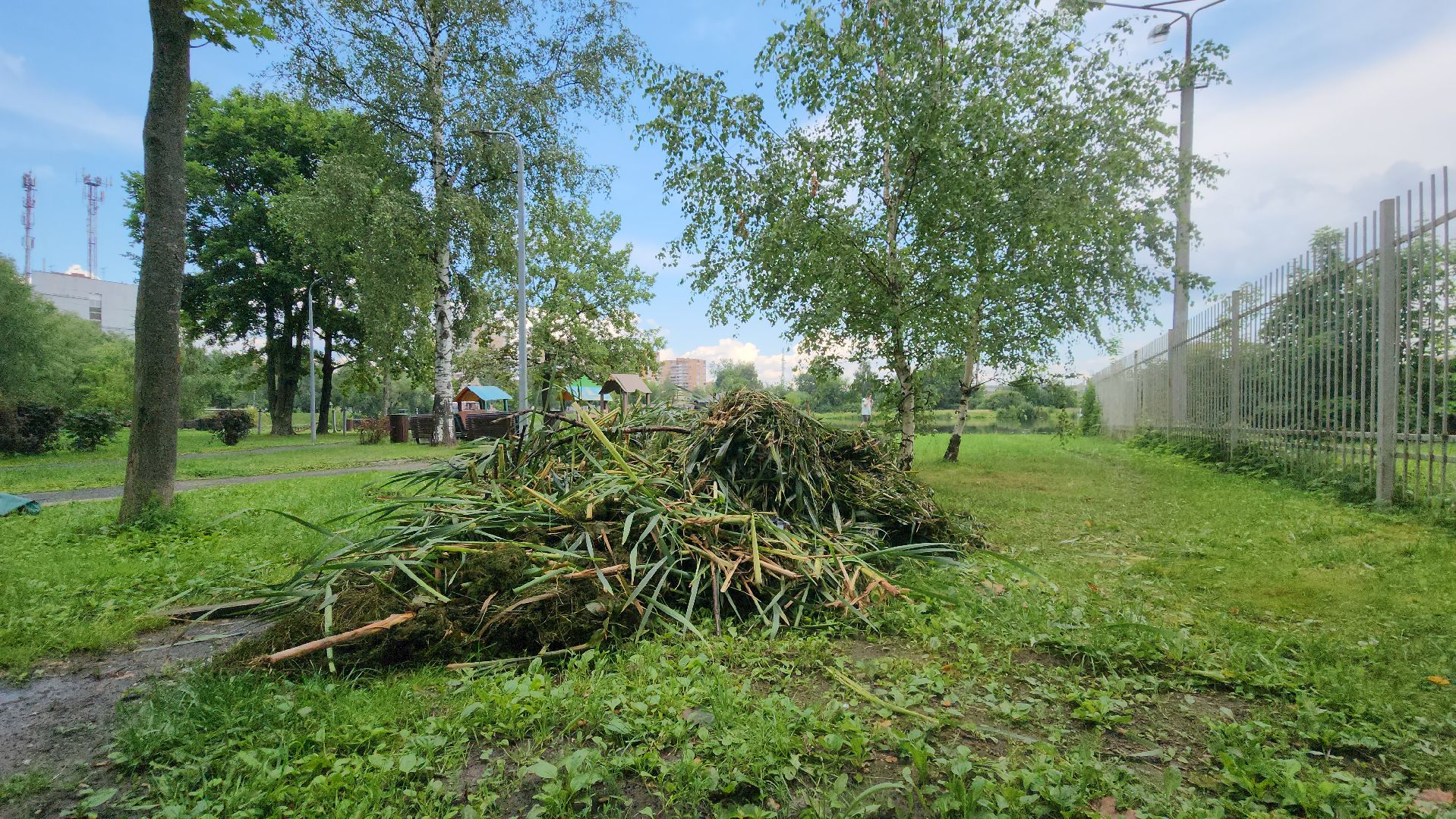Очистка водоема , Благоустройство пруда, санитарная очистка пруда, Санитарно-экологическая очистка водоема, Лобня,
