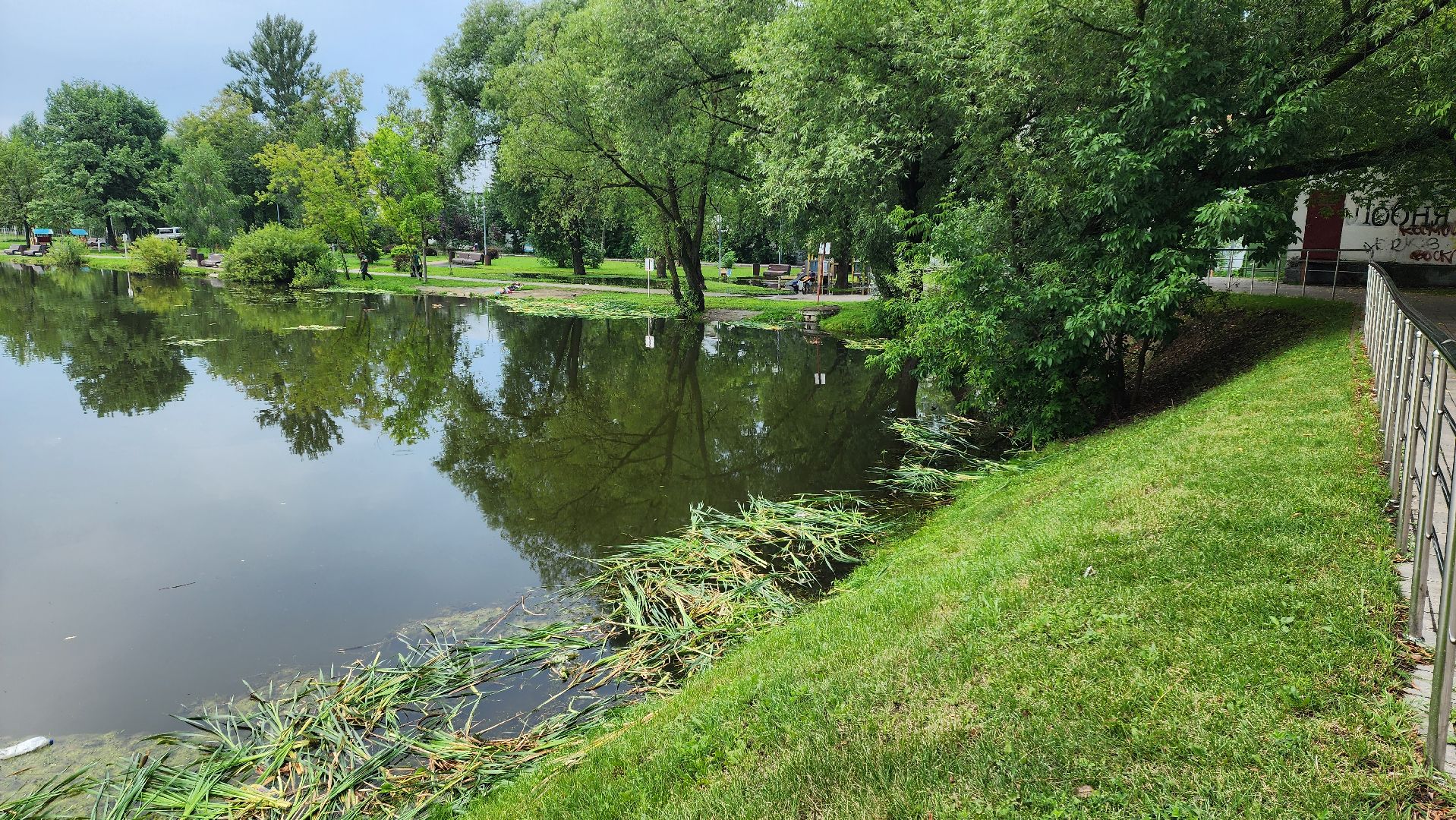 Очистка водоема , Благоустройство пруда, санитарная очистка пруда, Санитарно-экологическая очистка водоема, Лобня,