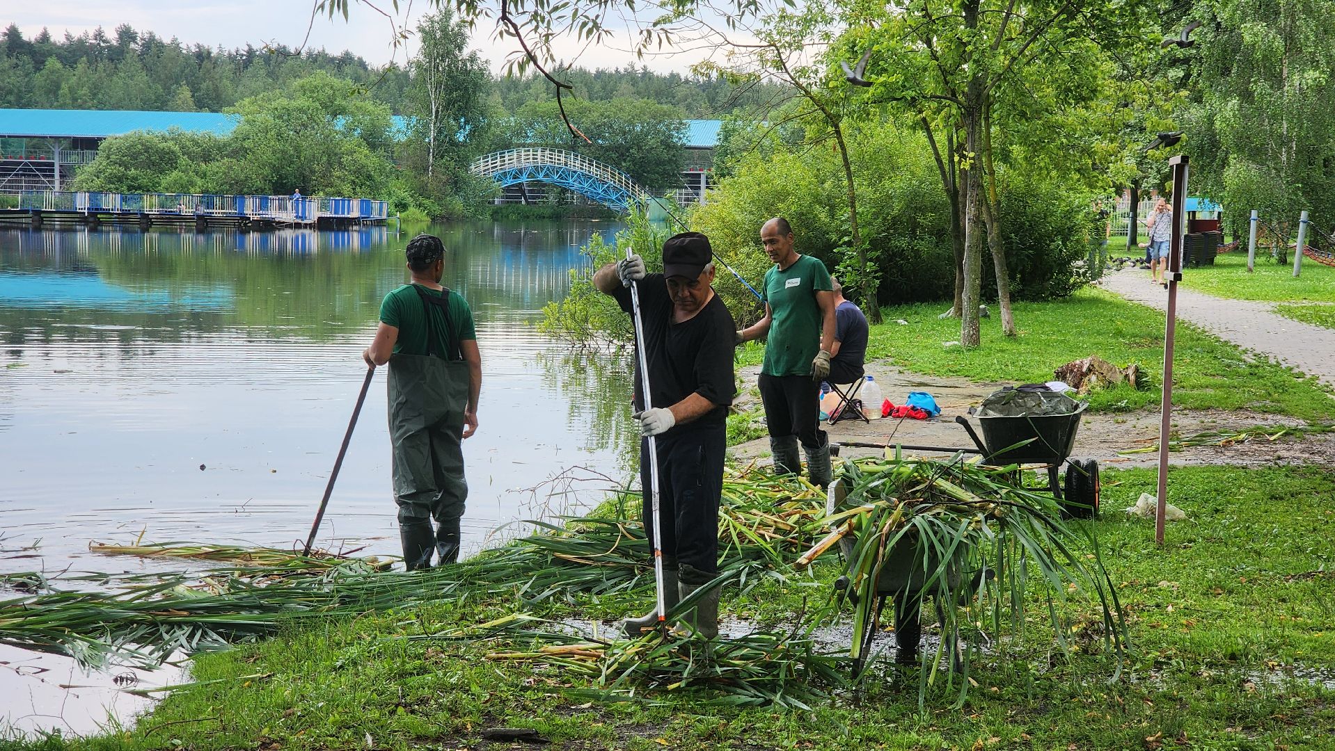 Очистка водоема , Благоустройство пруда, санитарная очистка пруда, Санитарно-экологическая очистка водоема, Лобня,