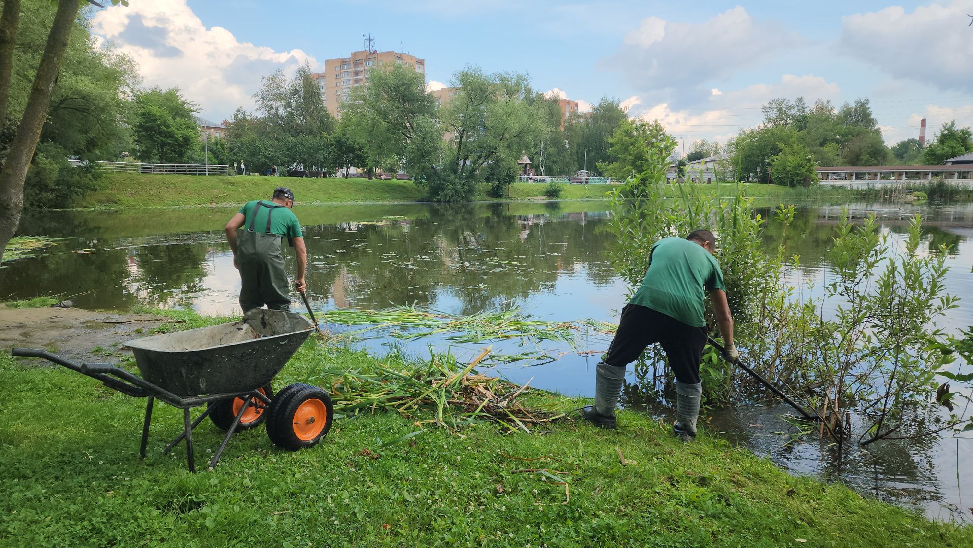 Очистка водоема , Благоустройство пруда, санитарная очистка пруда, Санитарно-экологическая очистка водоема, Лобня,