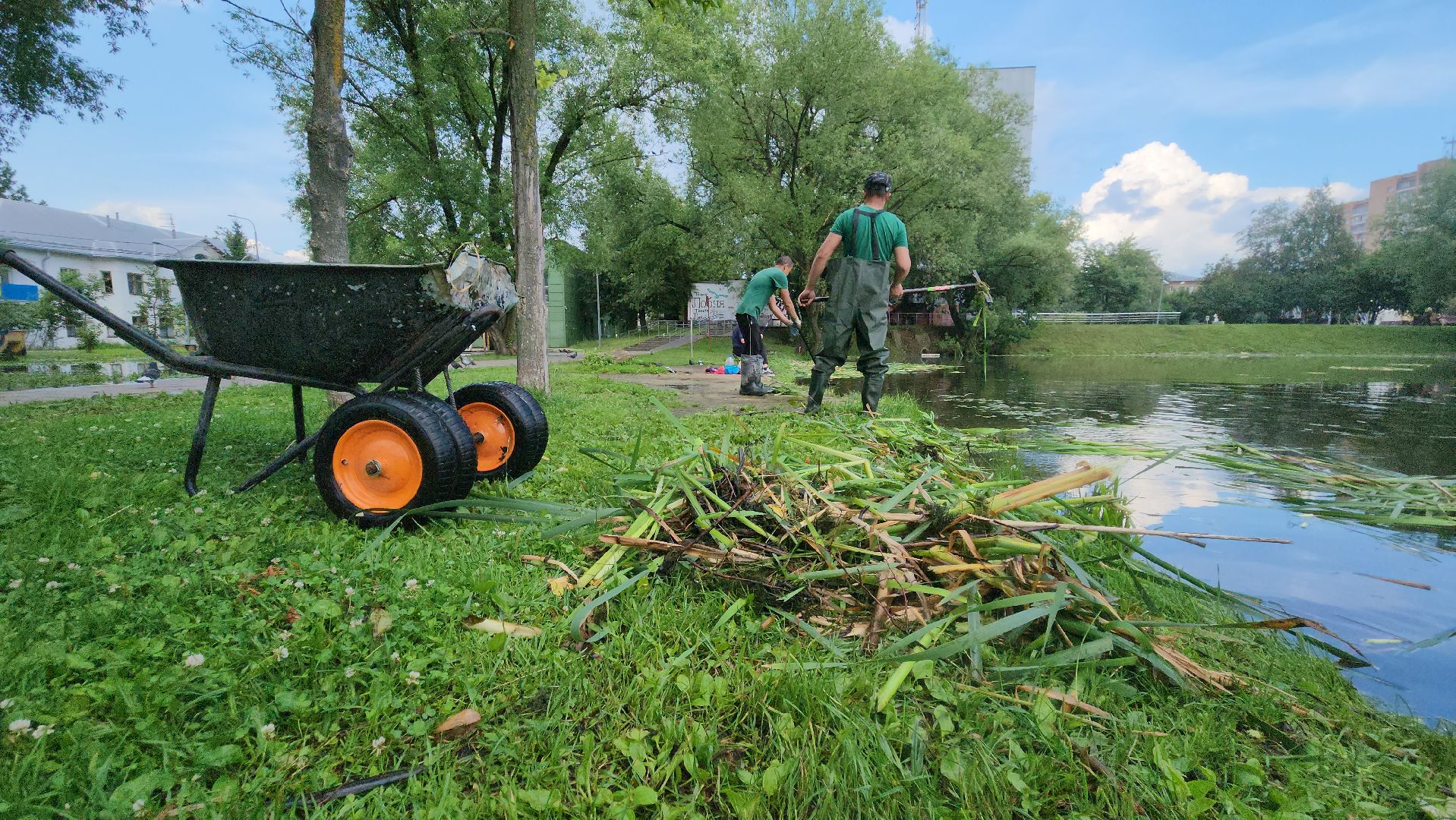 Очистка водоема , Благоустройство пруда, санитарная очистка пруда, Санитарно-экологическая очистка водоема, Лобня,