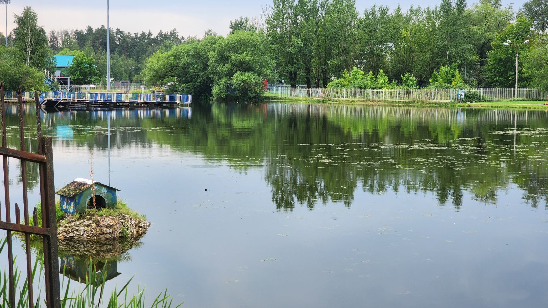 Очистка водоема , Благоустройство пруда, санитарная очистка пруда, Санитарно-экологическая очистка водоема, Лобня,