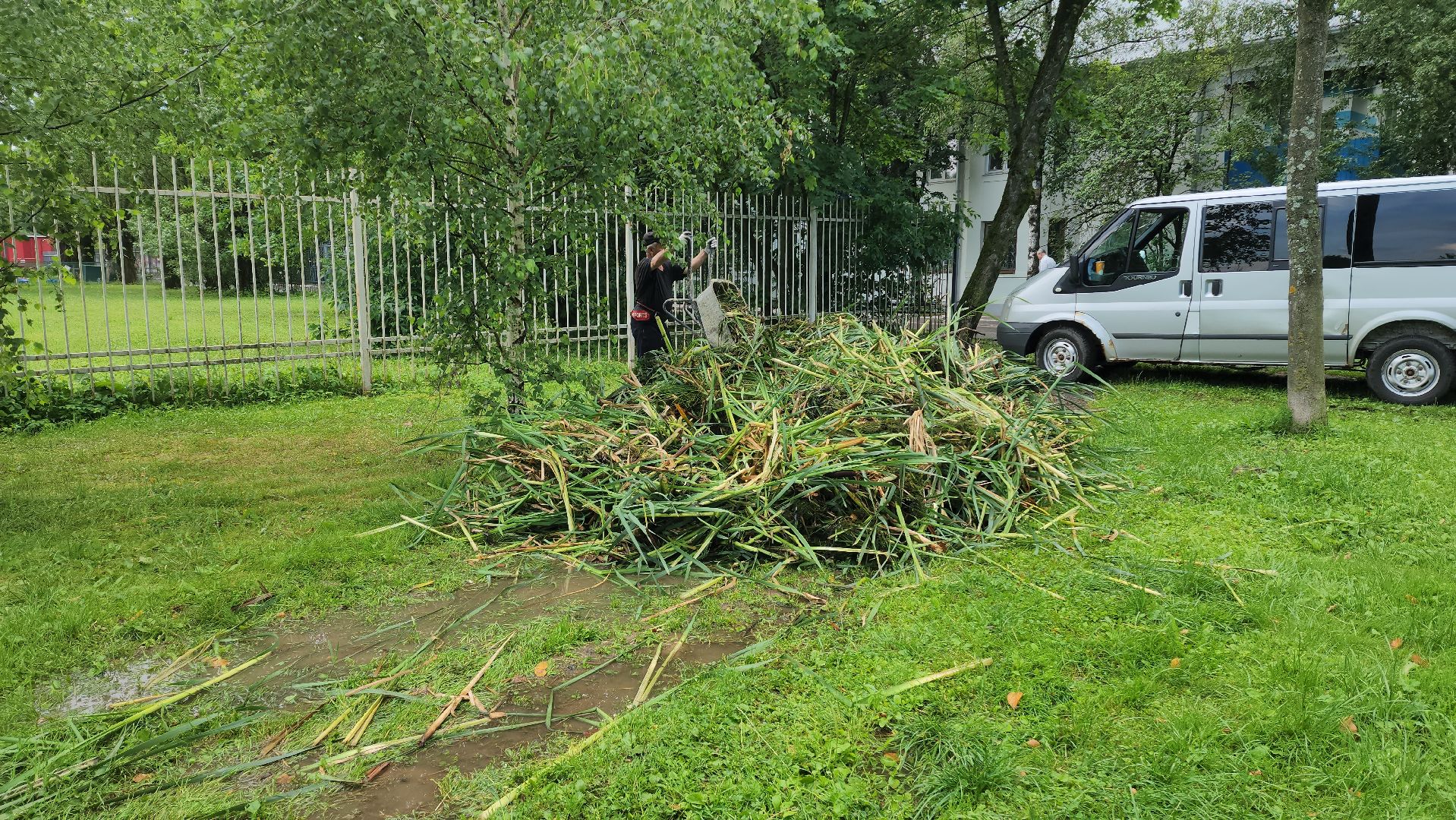 Очистка водоема , Благоустройство пруда, санитарная очистка пруда, Санитарно-экологическая очистка водоема, Лобня,