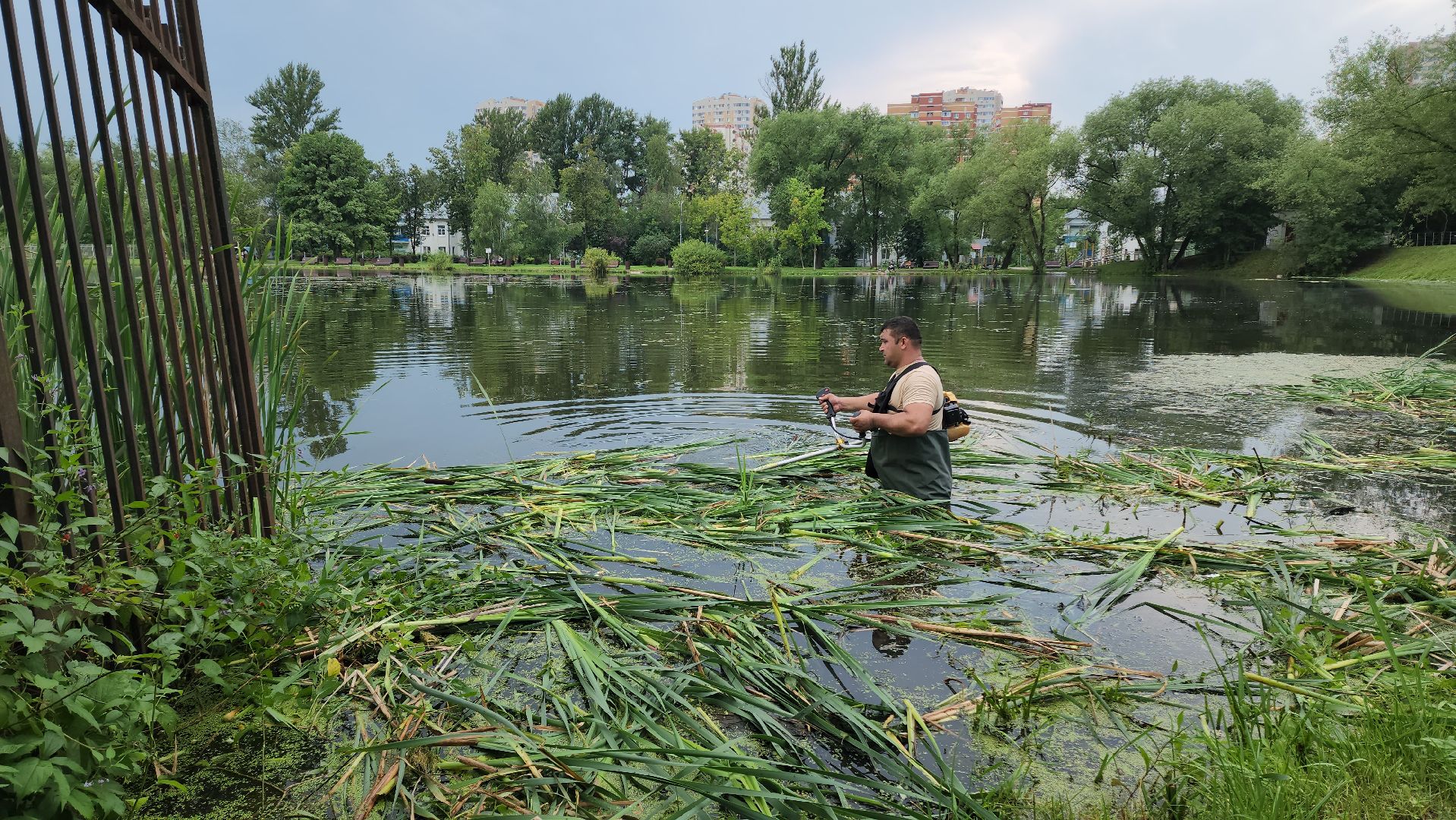 Очистка водоема , Благоустройство пруда, санитарная очистка пруда, Санитарно-экологическая очистка водоема, Лобня,
