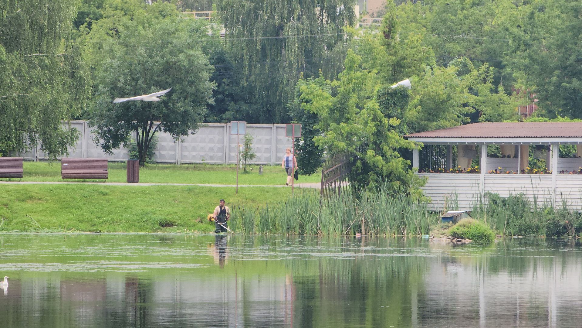Очистка водоема , Благоустройство пруда, санитарная очистка пруда, Санитарно-экологическая очистка водоема, Лобня,