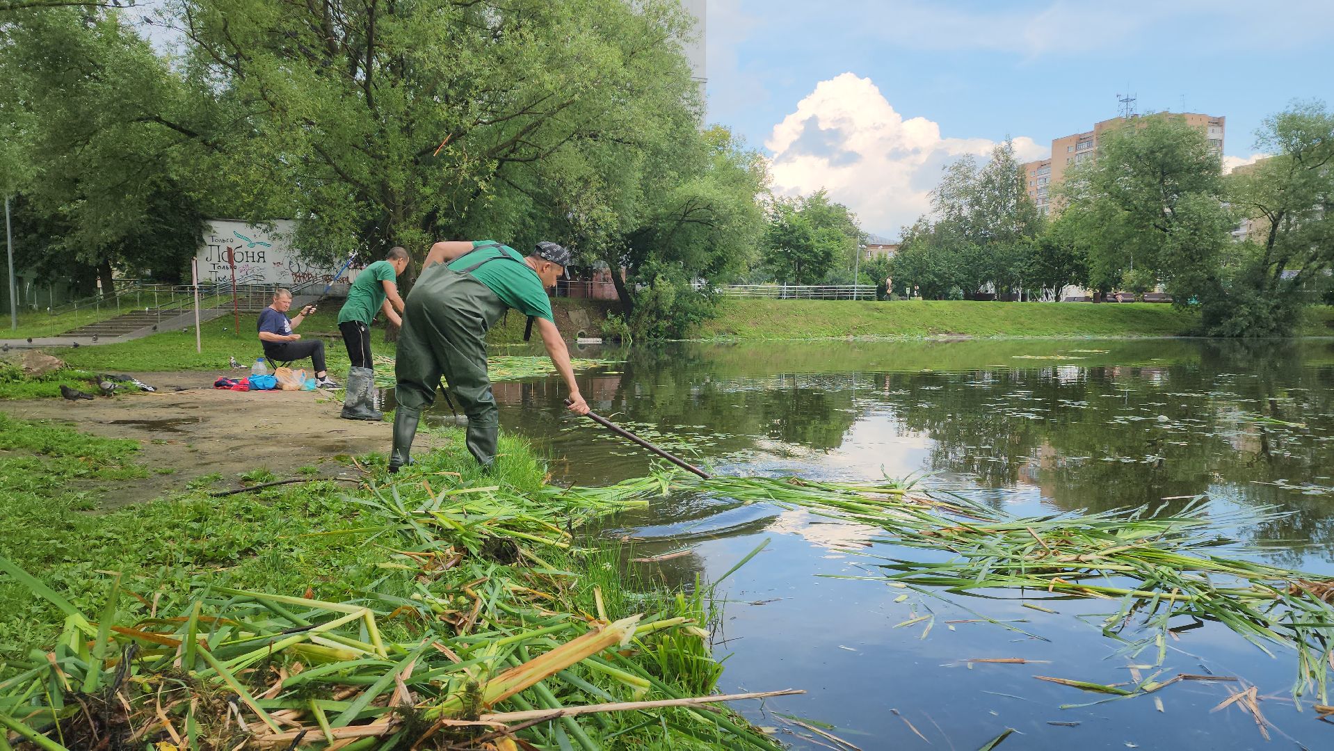 Очистка водоема , Благоустройство пруда, санитарная очистка пруда, Санитарно-экологическая очистка водоема, Лобня,