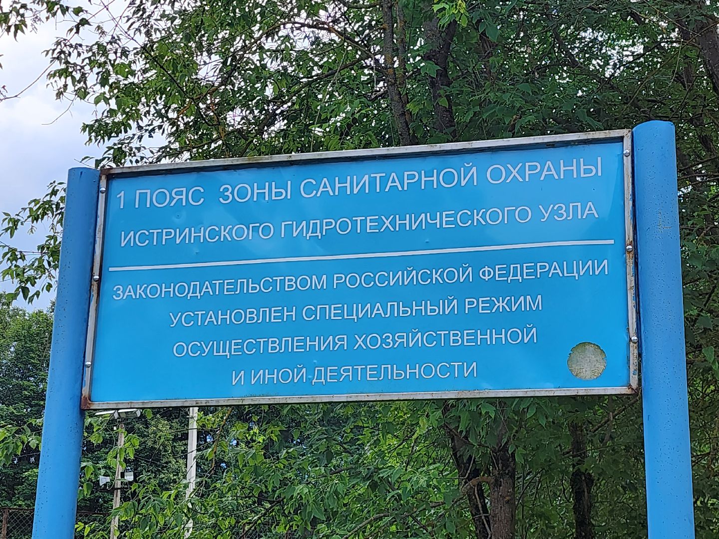 Истра, Спасение лося, Лось,животные,спасение животных,