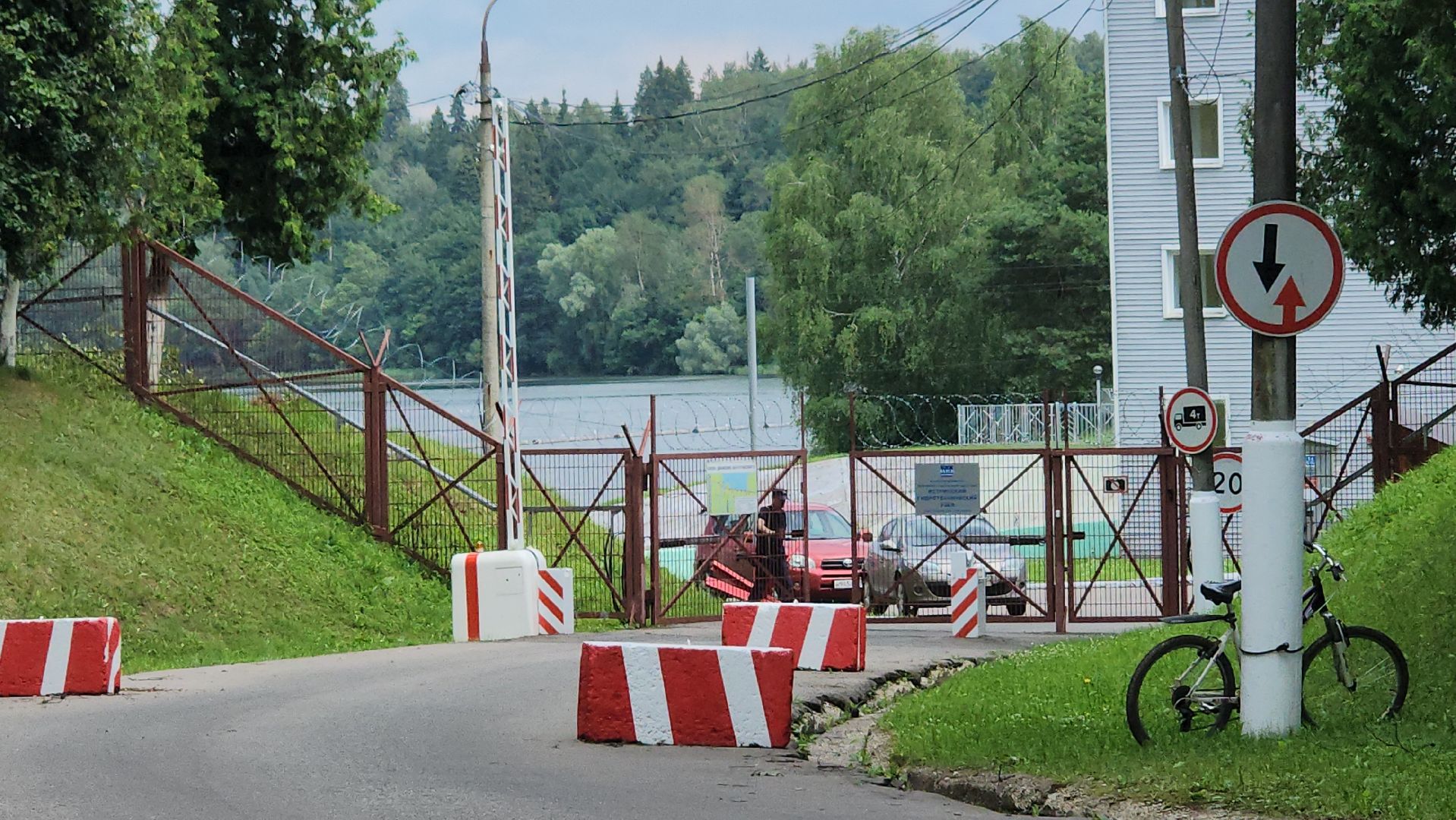 Истра, Спасение лося, Лось,животные,спасение животных,