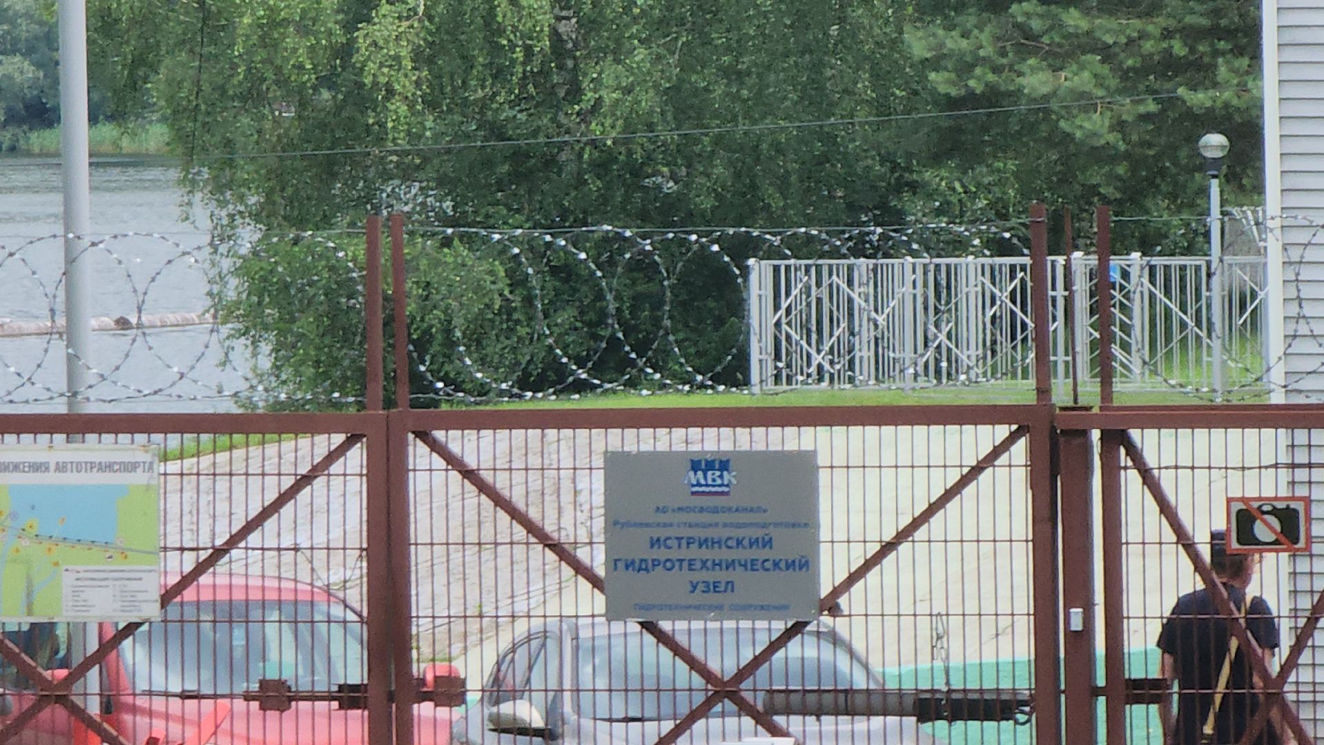 Истра, Спасение лося, Лось,животные,спасение животных,