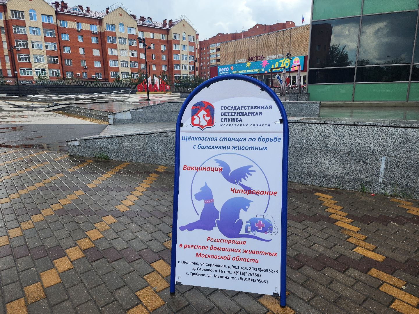 фрязино, чипирование домашних животных, домашние животные, ветеринарная служба,