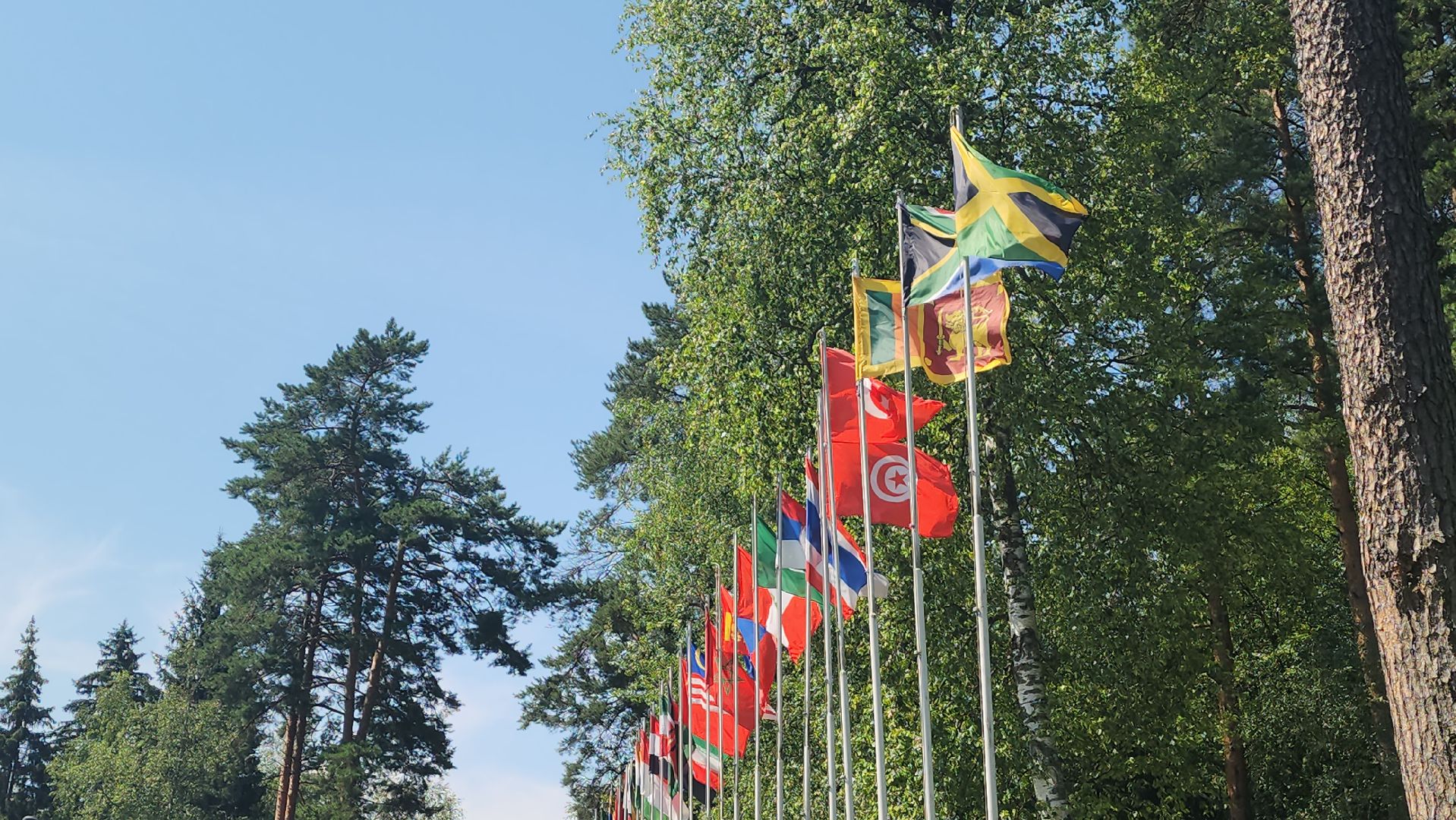 гольф, красногорск, турнир,сильные фигуры, гольф-клуб,