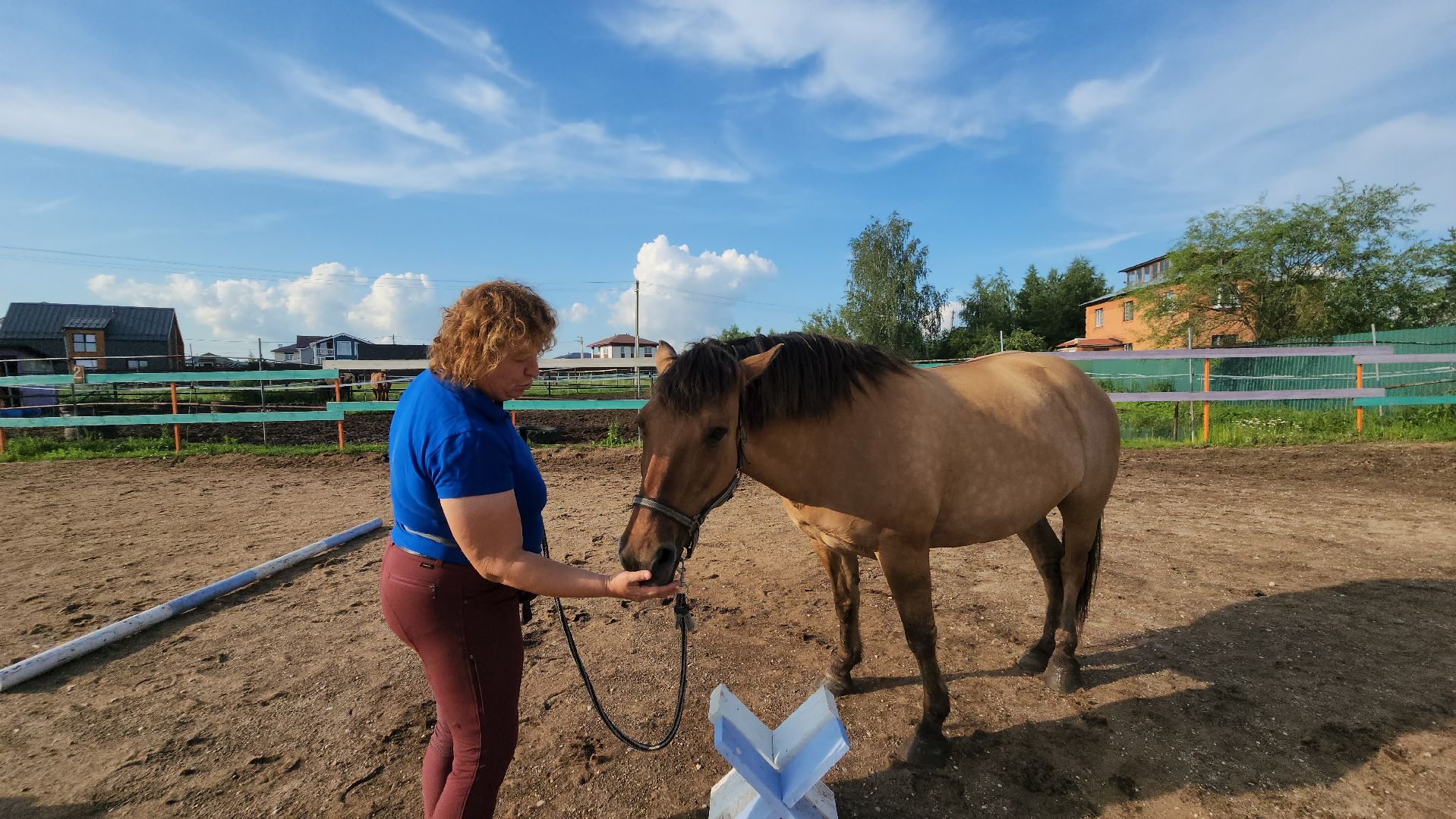 Конный клуб, Лобня , конная школа, Езда на лошадях,