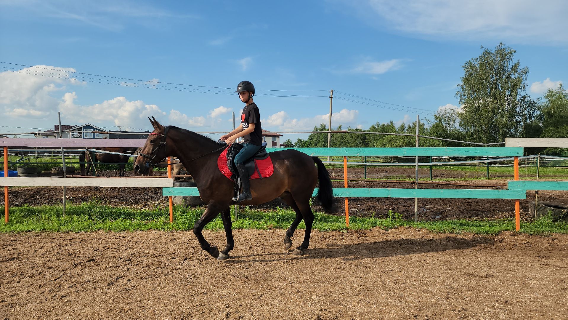 Конный клуб, Лобня , конная школа, Езда на лошадях,