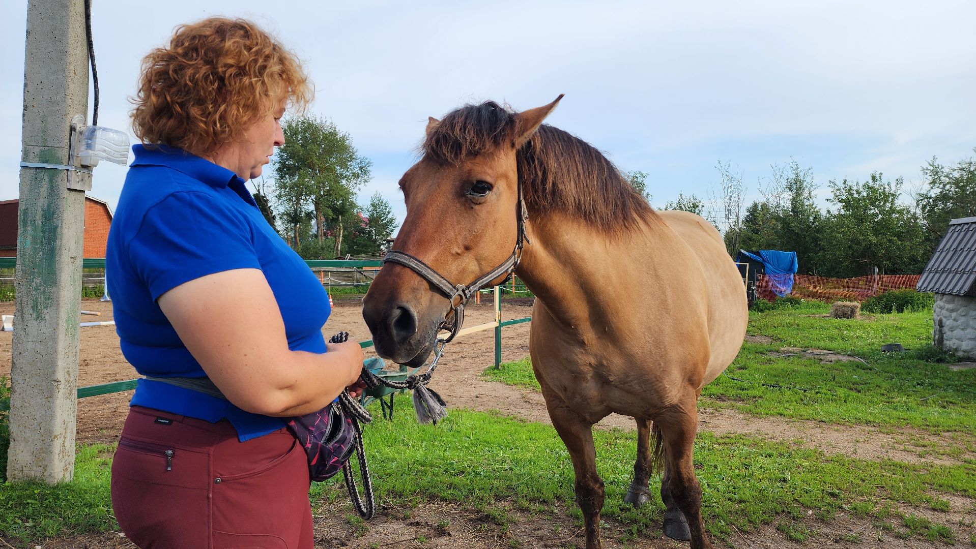 Конный клуб, Лобня , конная школа, Езда на лошадях,