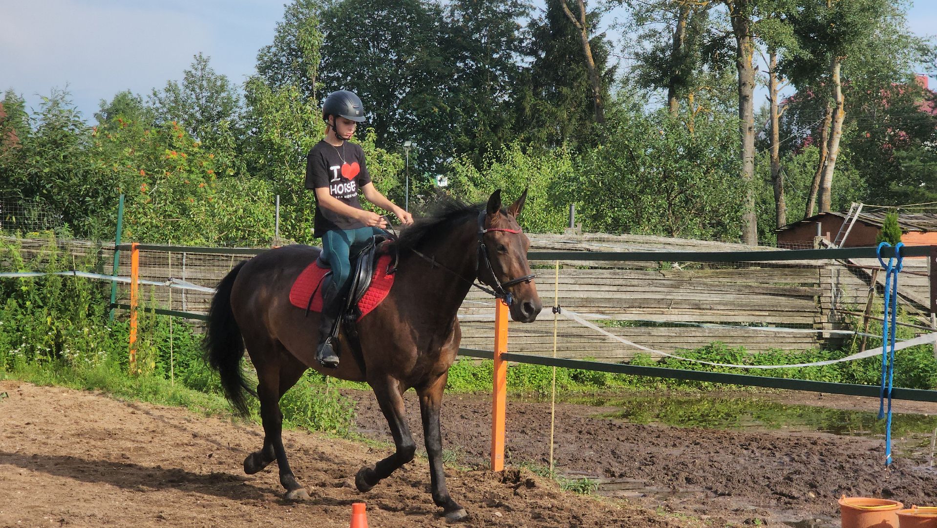 Конный клуб, Лобня , конная школа, Езда на лошадях,