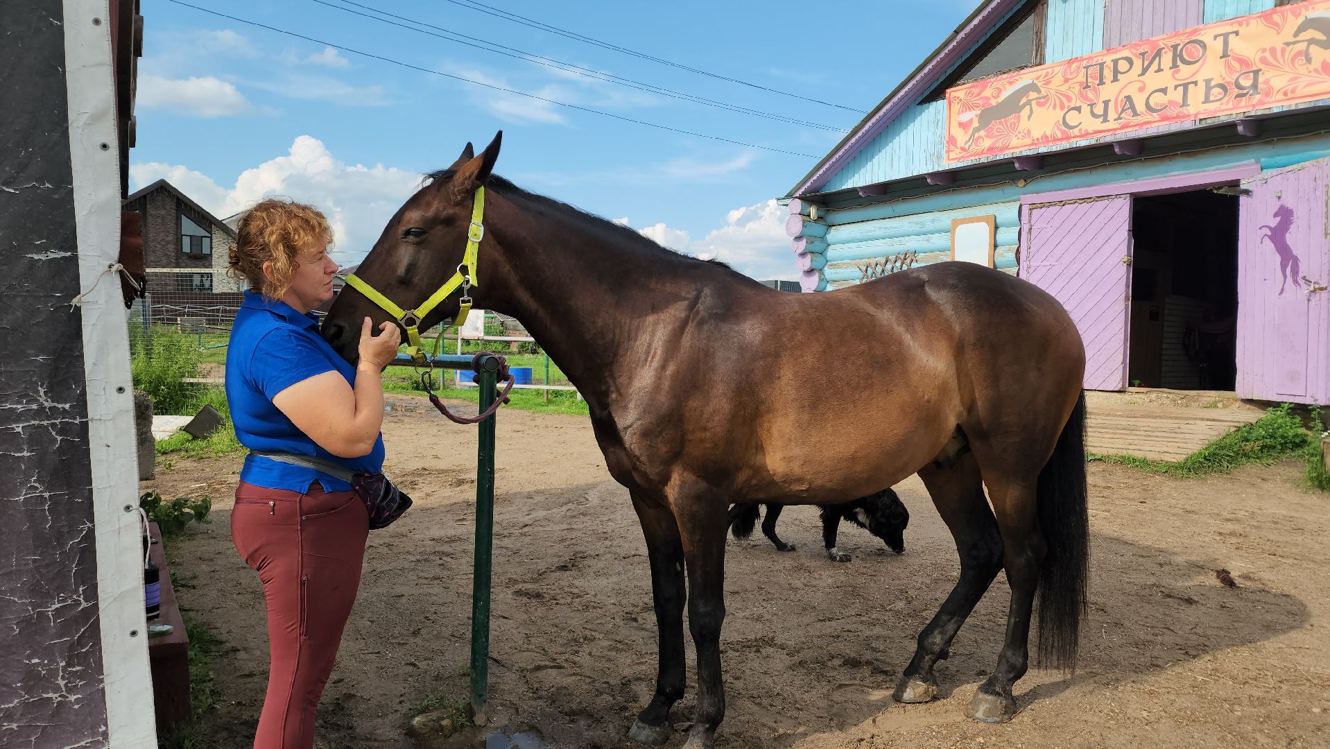 Конный клуб, Лобня , конная школа, Езда на лошадях,